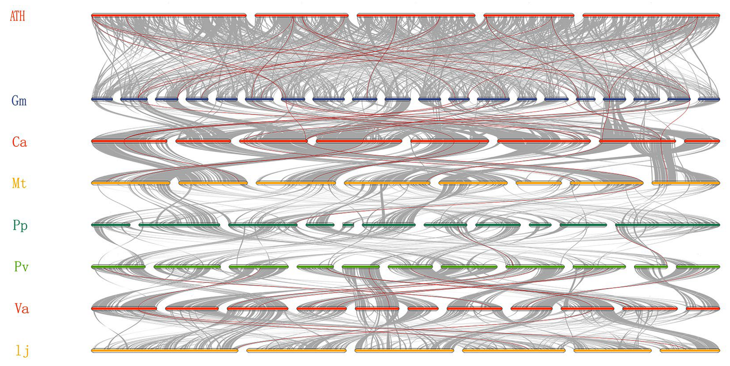Biology 12 00439 g004 Biology 12 00439 g004