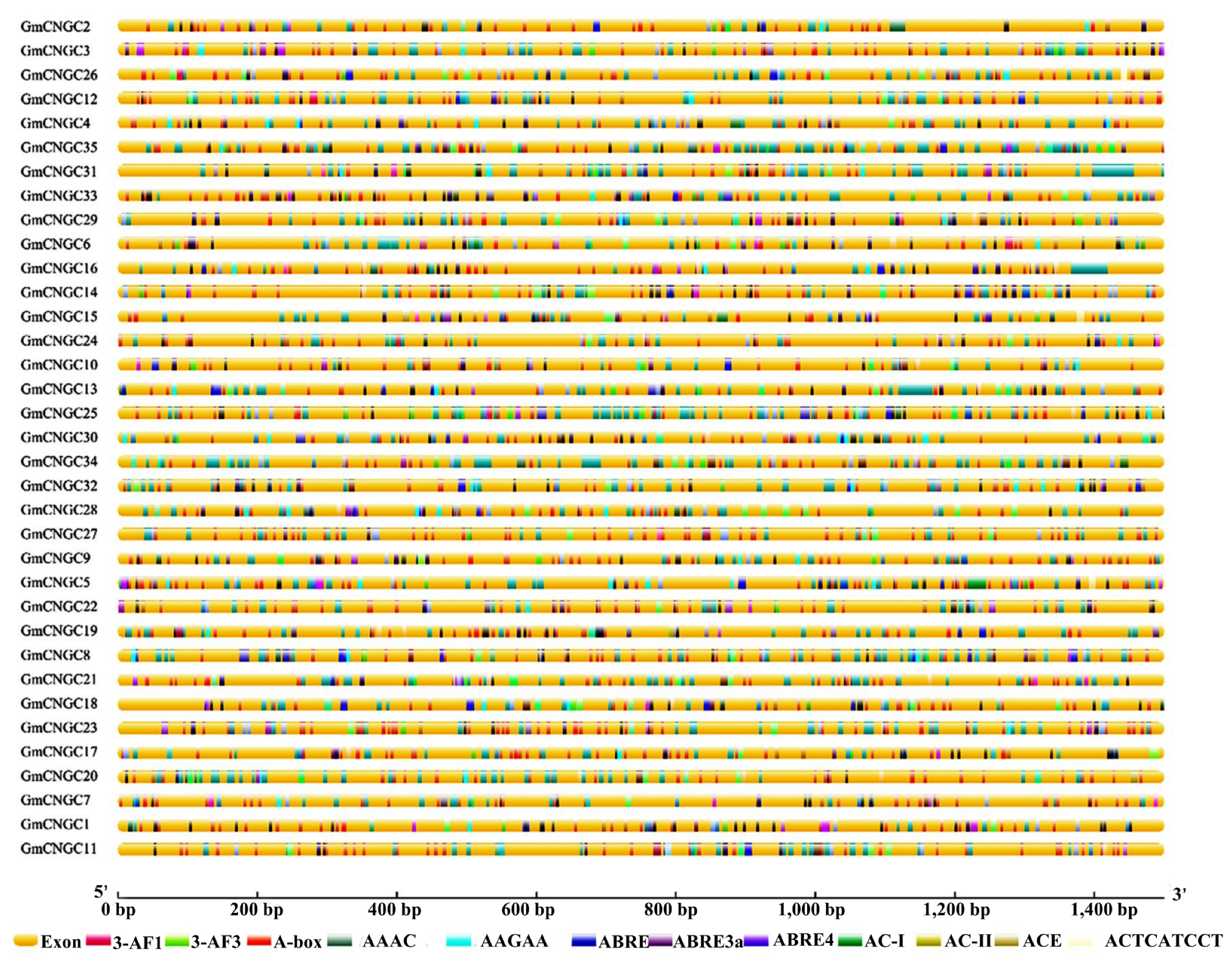 Biology 12 00439 g005 Biology 12 00439 g005