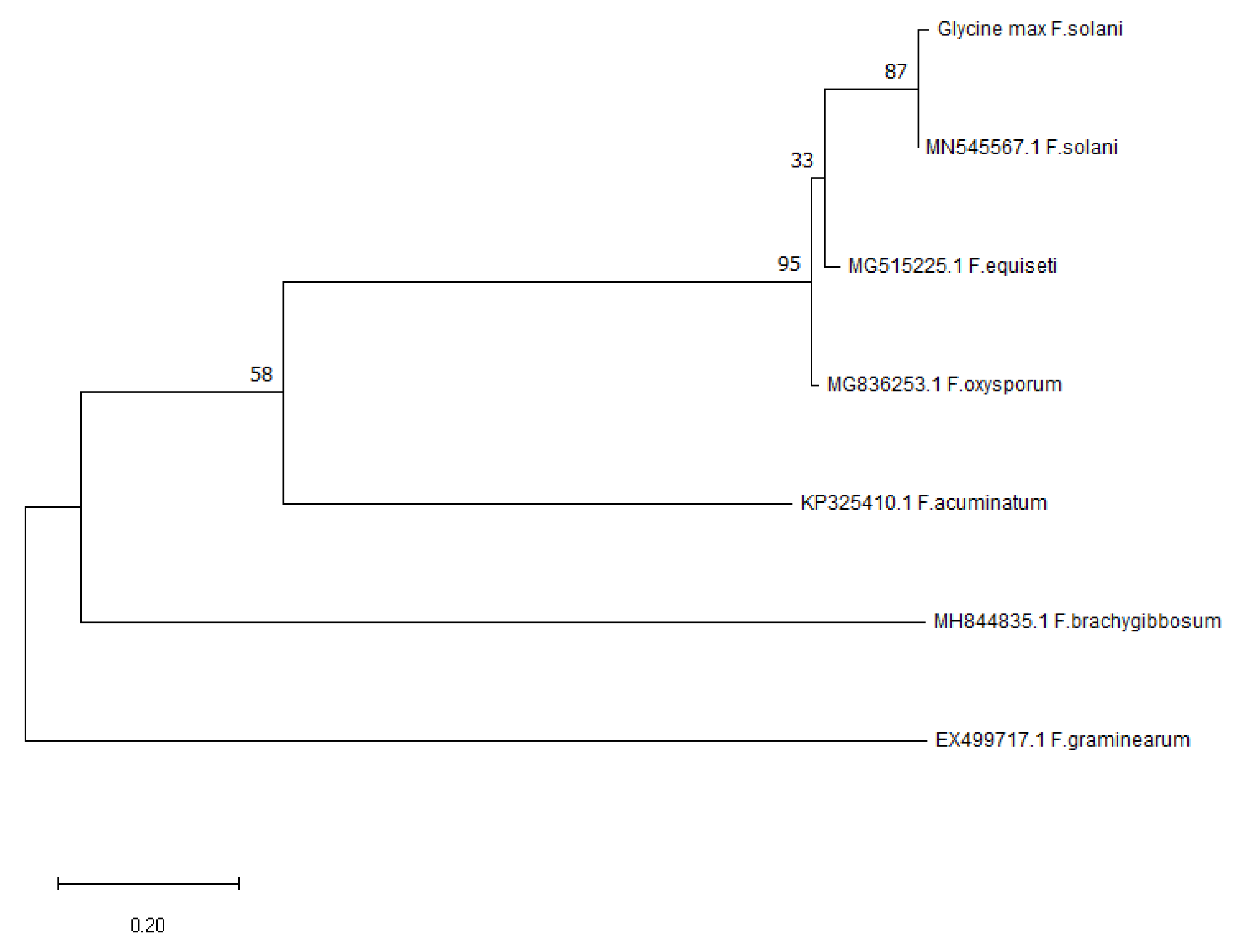 Biology 12 00439 g008 Biology 12 00439 g008