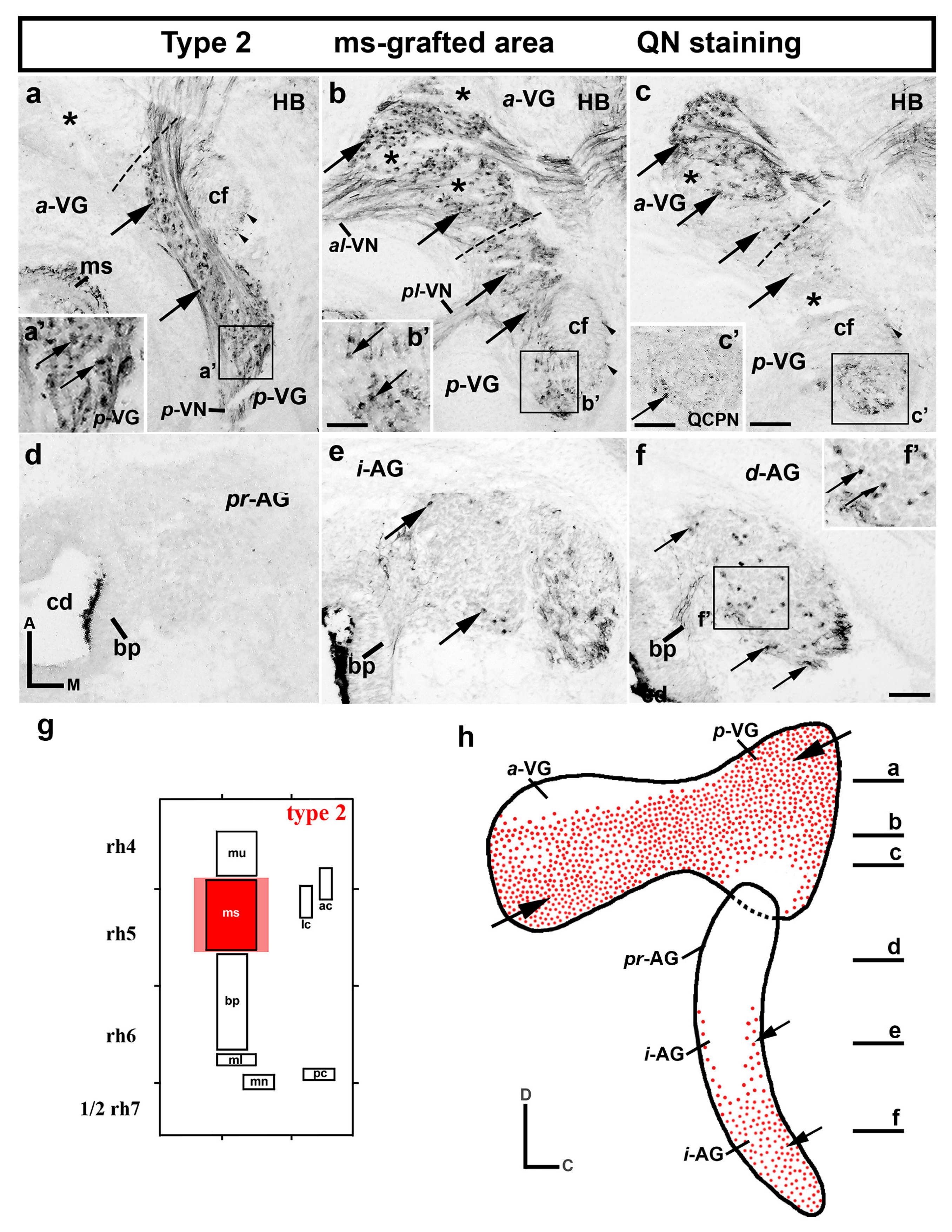 Biology 12 00453 g002 Biology 12 00453 g002