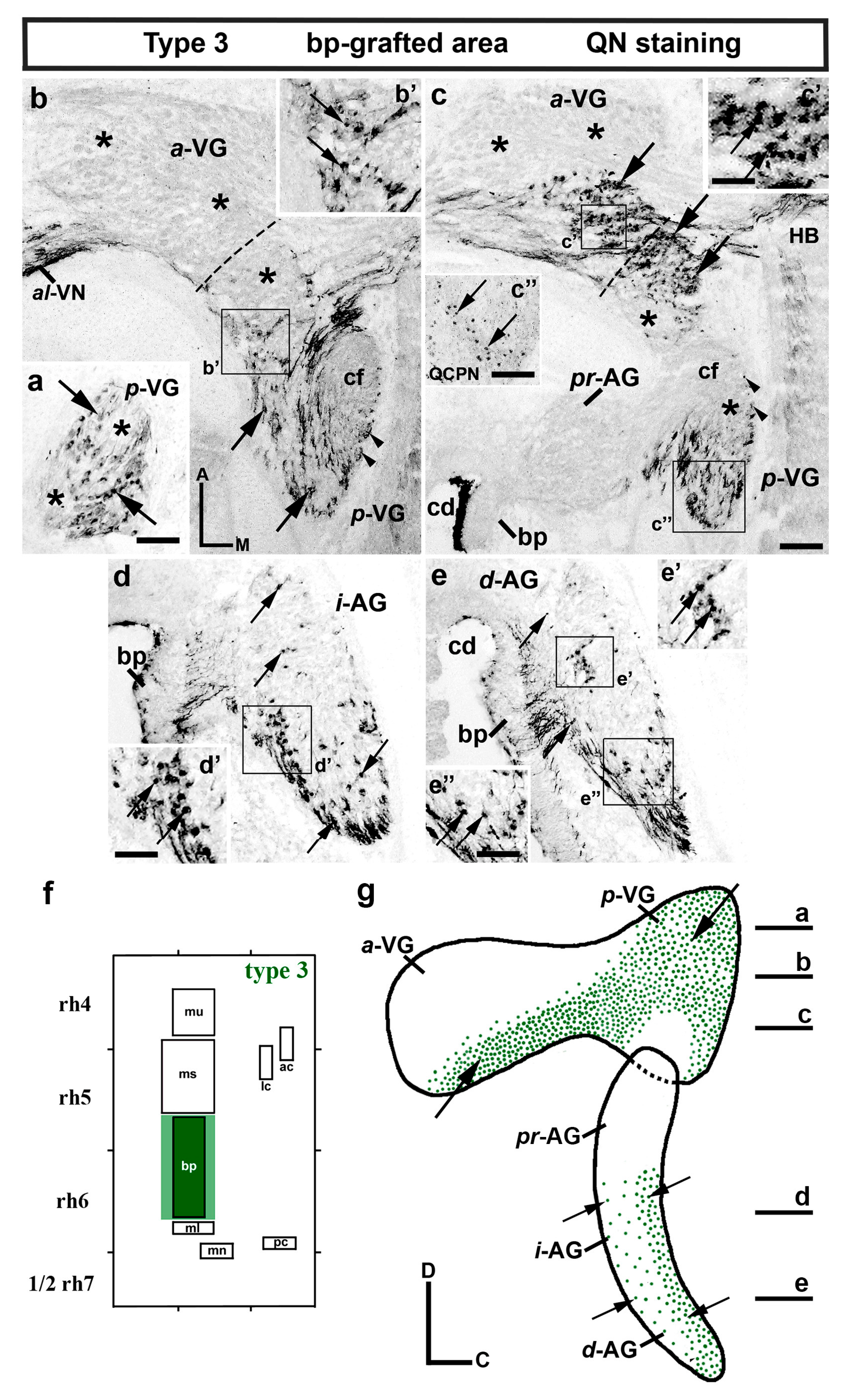 Biology 12 00453 g003 Biology 12 00453 g003