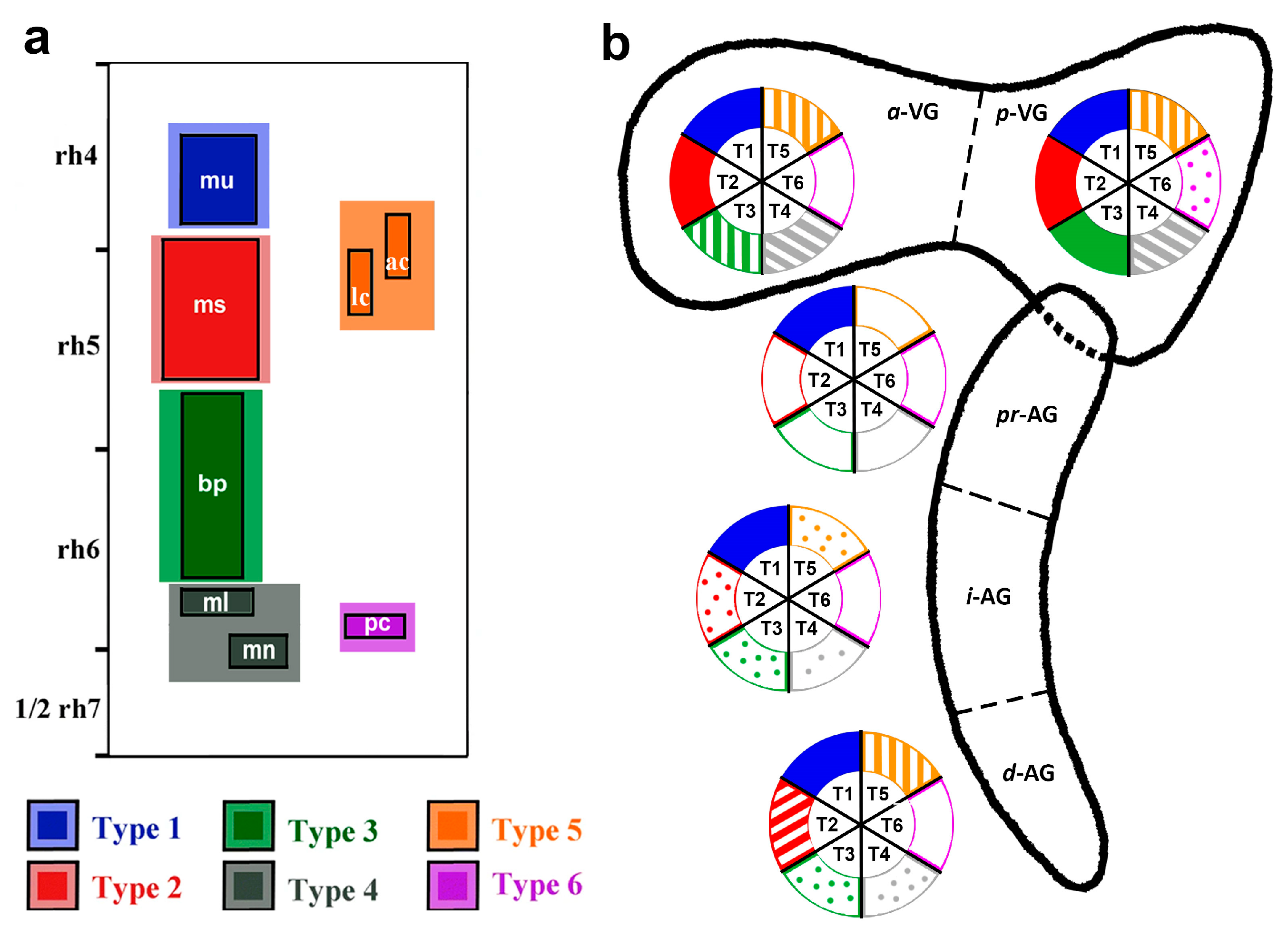 Biology 12 00453 g007 Biology 12 00453 g007