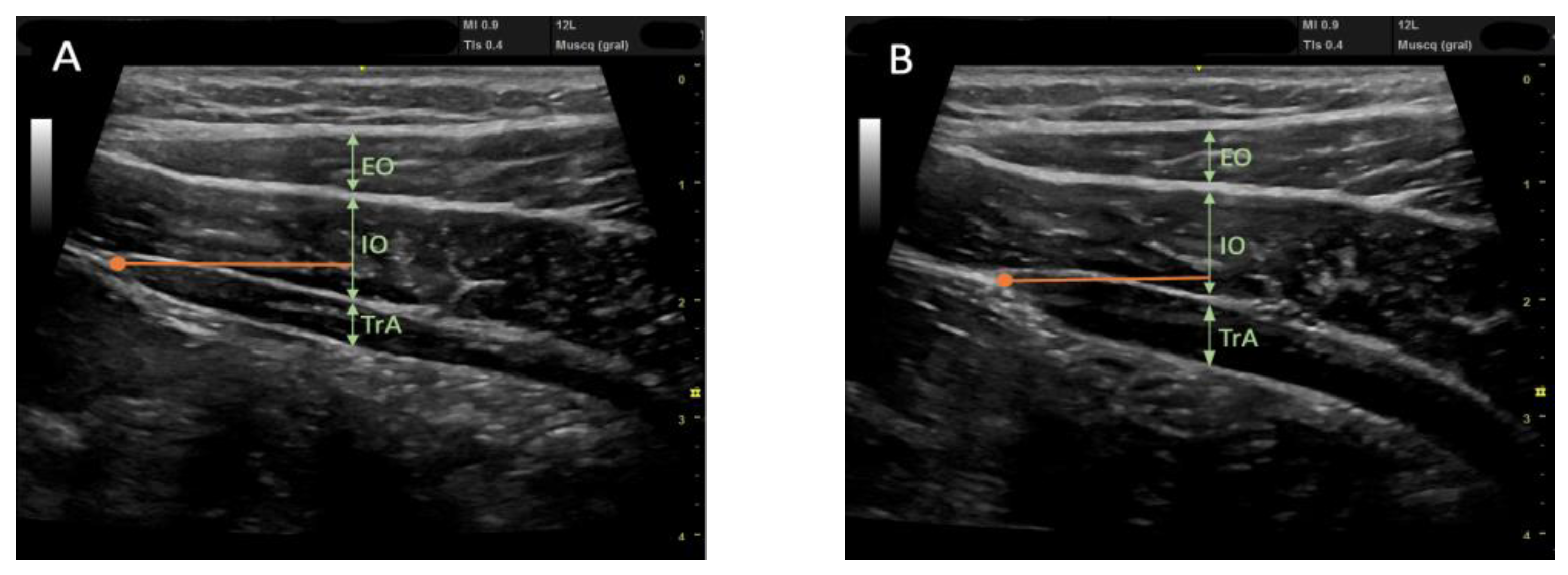 Biology 12 00454 g002