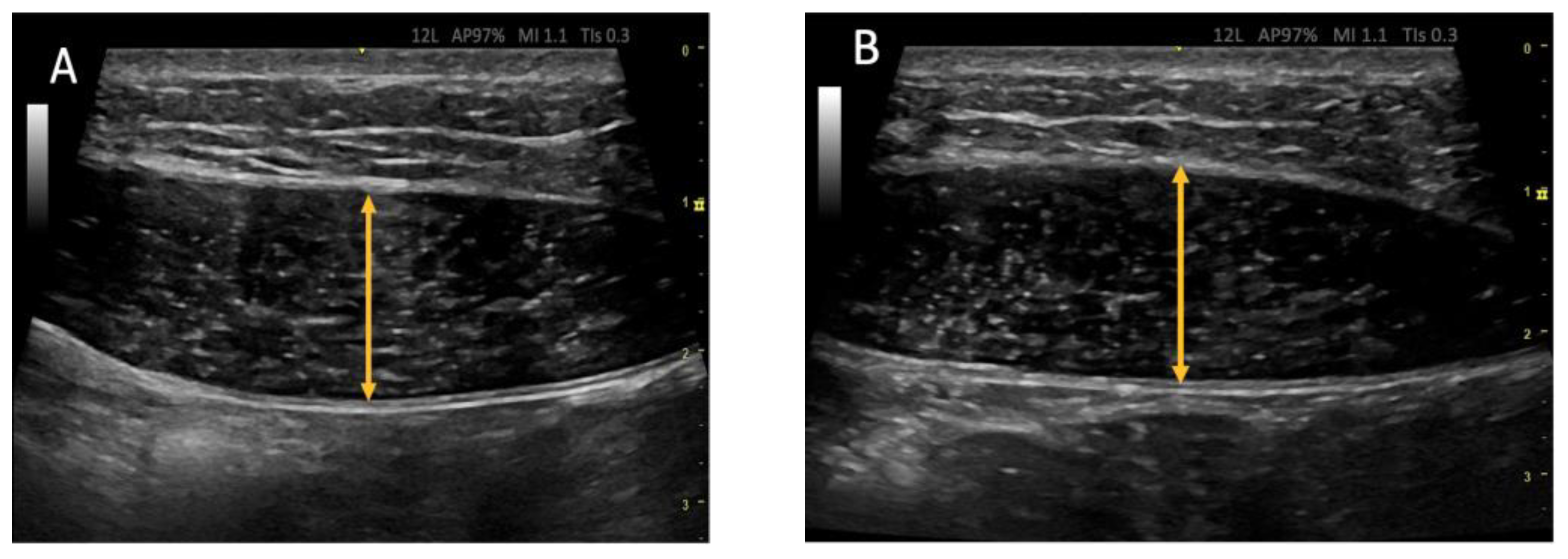 Biology 12 00454 g003