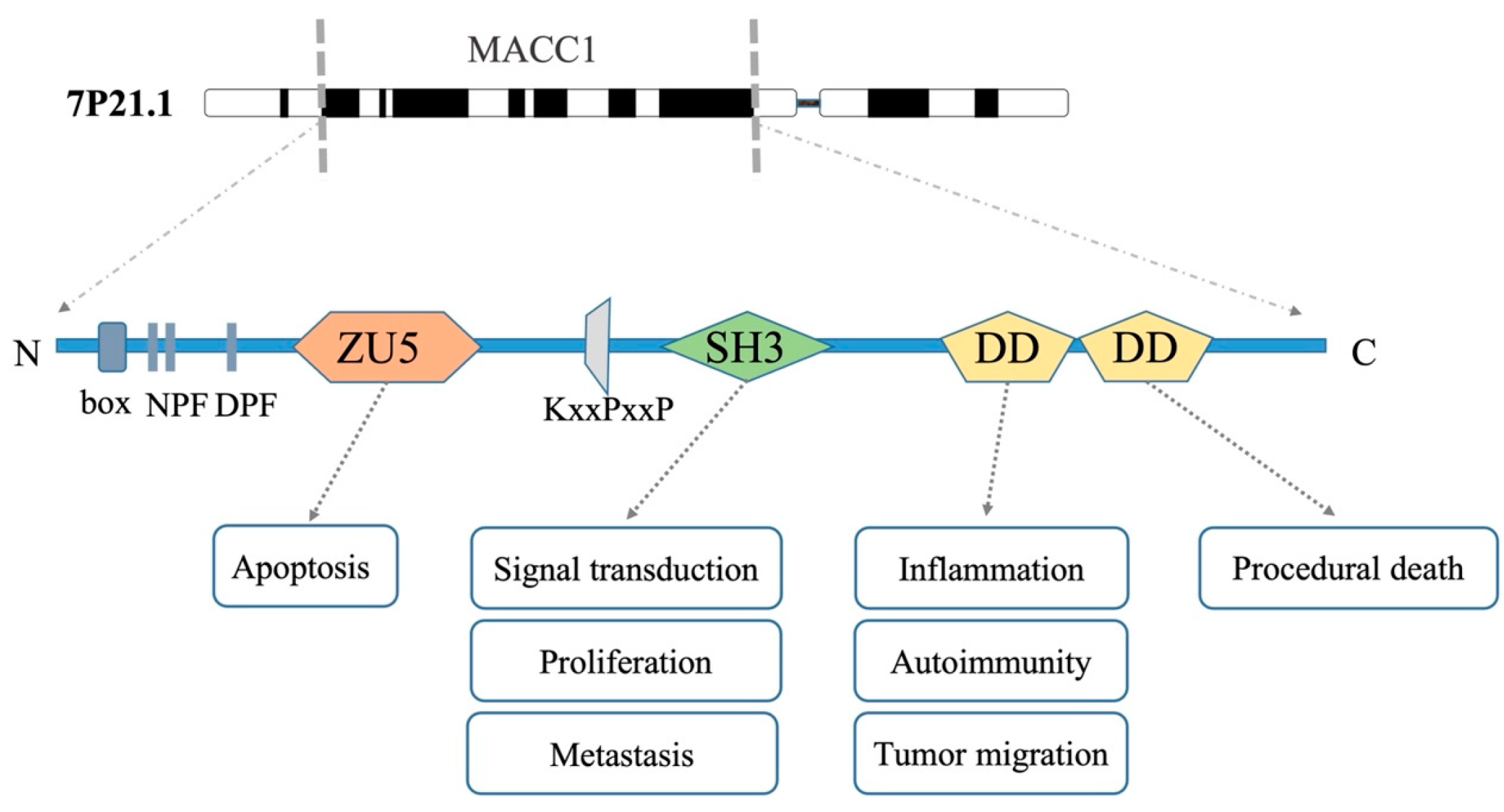 Biology 12 00455 g001 Biology 12 00455 g001