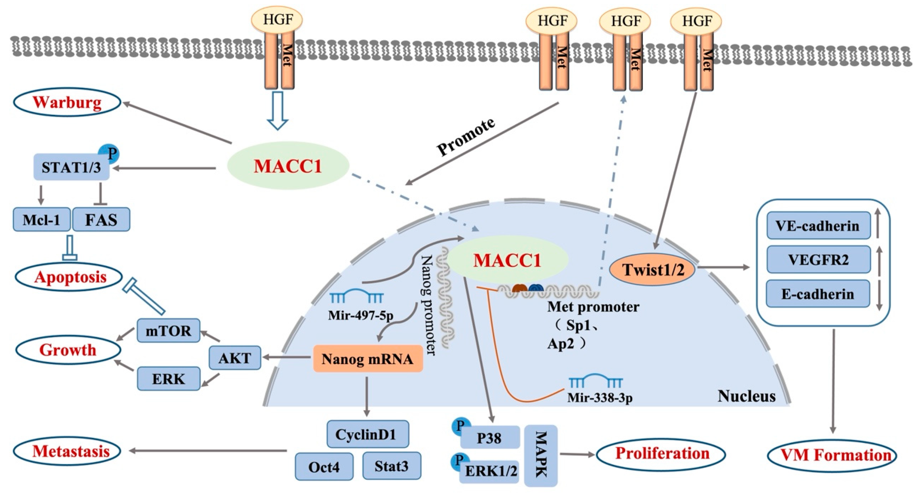 Biology 12 00455 g002 Biology 12 00455 g002