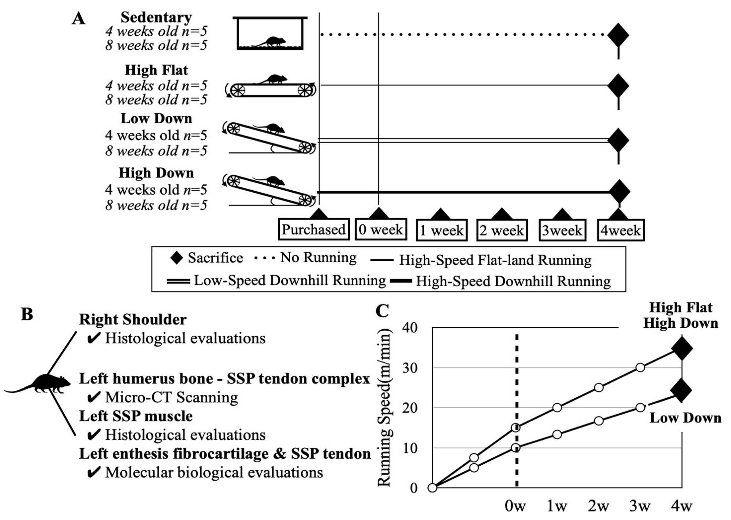 Biology 12 00456 g001 Biology 12 00456 g001