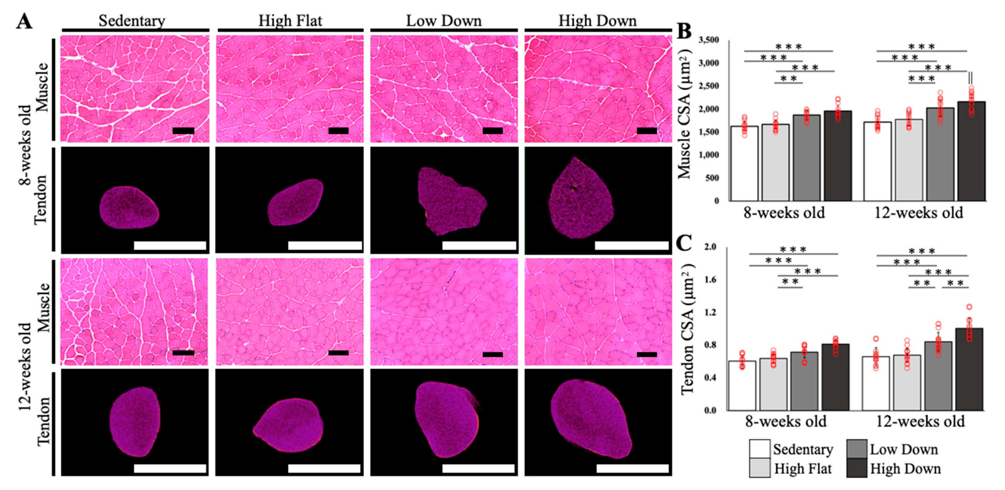 Biology 12 00456 g002 Biology 12 00456 g002
