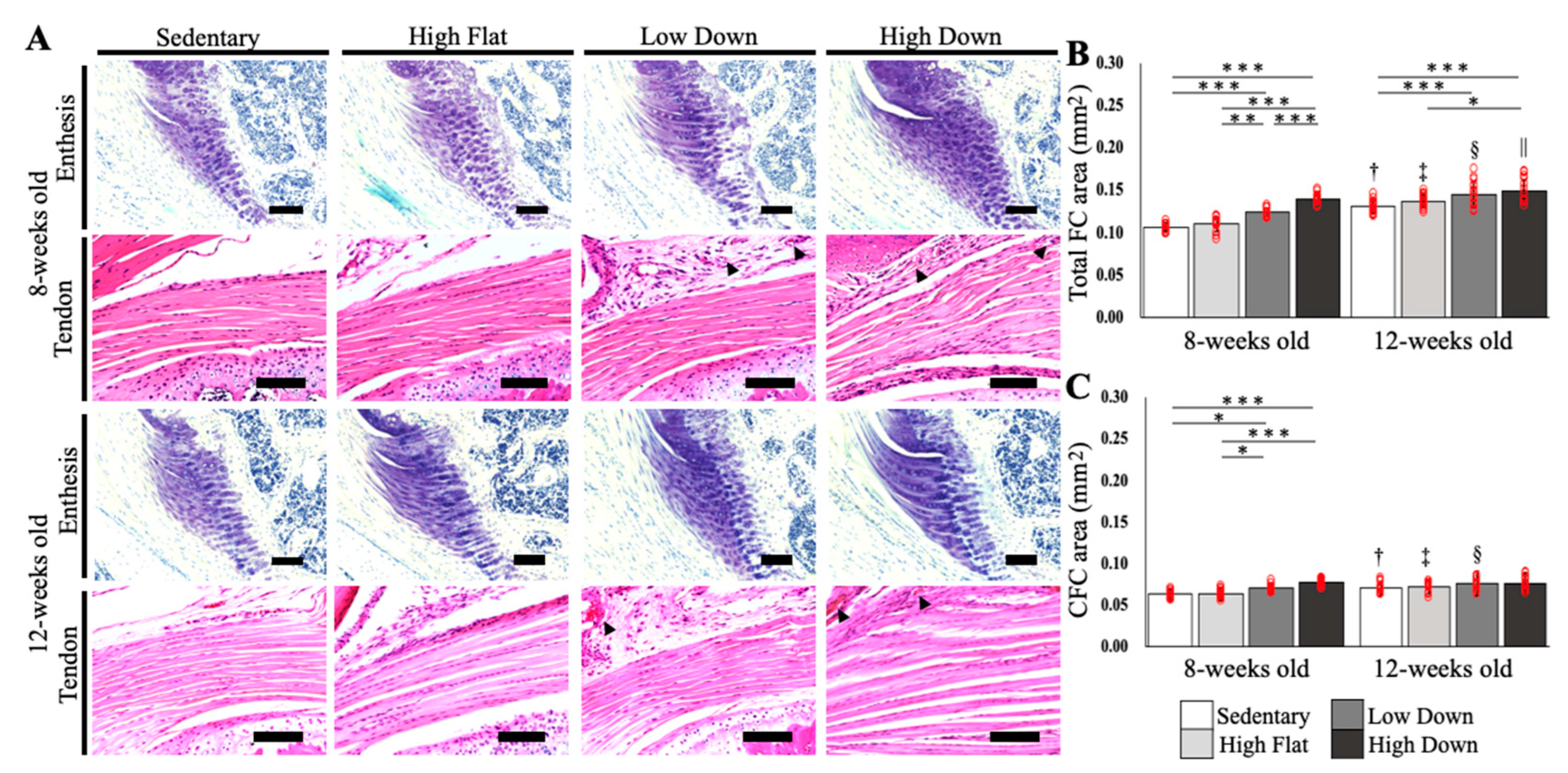 Biology 12 00456 g003 Biology 12 00456 g003