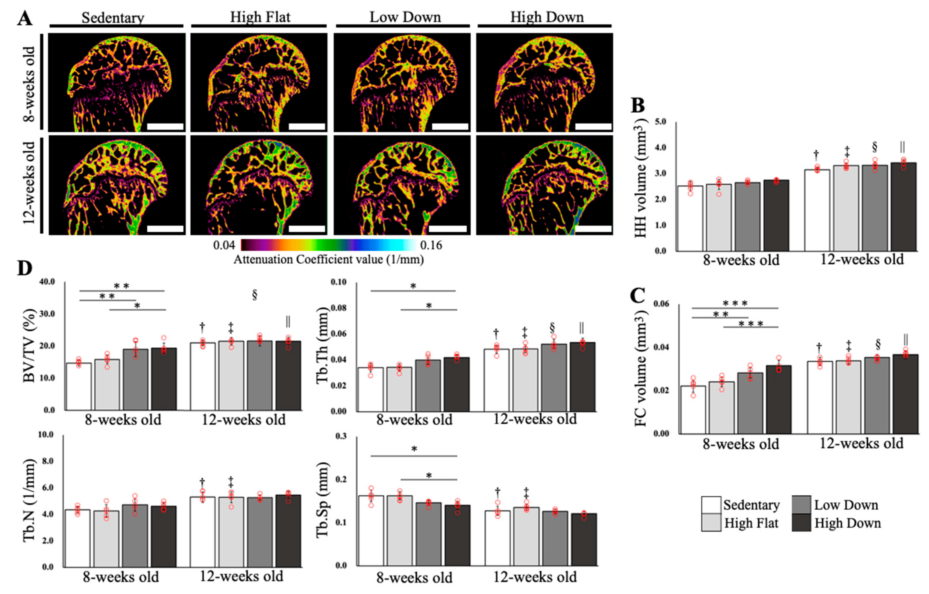 Biology 12 00456 g004 Biology 12 00456 g004