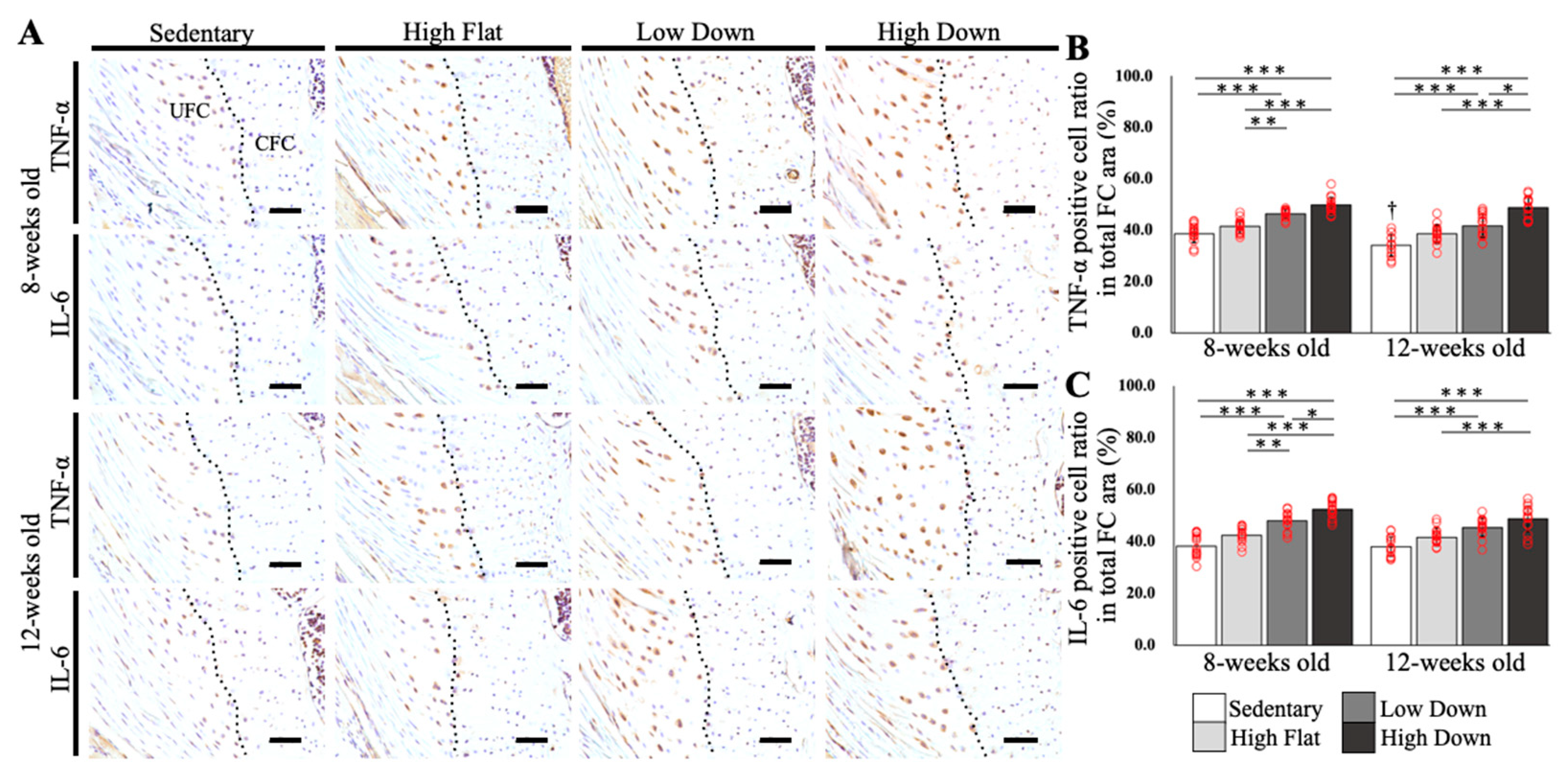 Biology 12 00456 g005 Biology 12 00456 g005