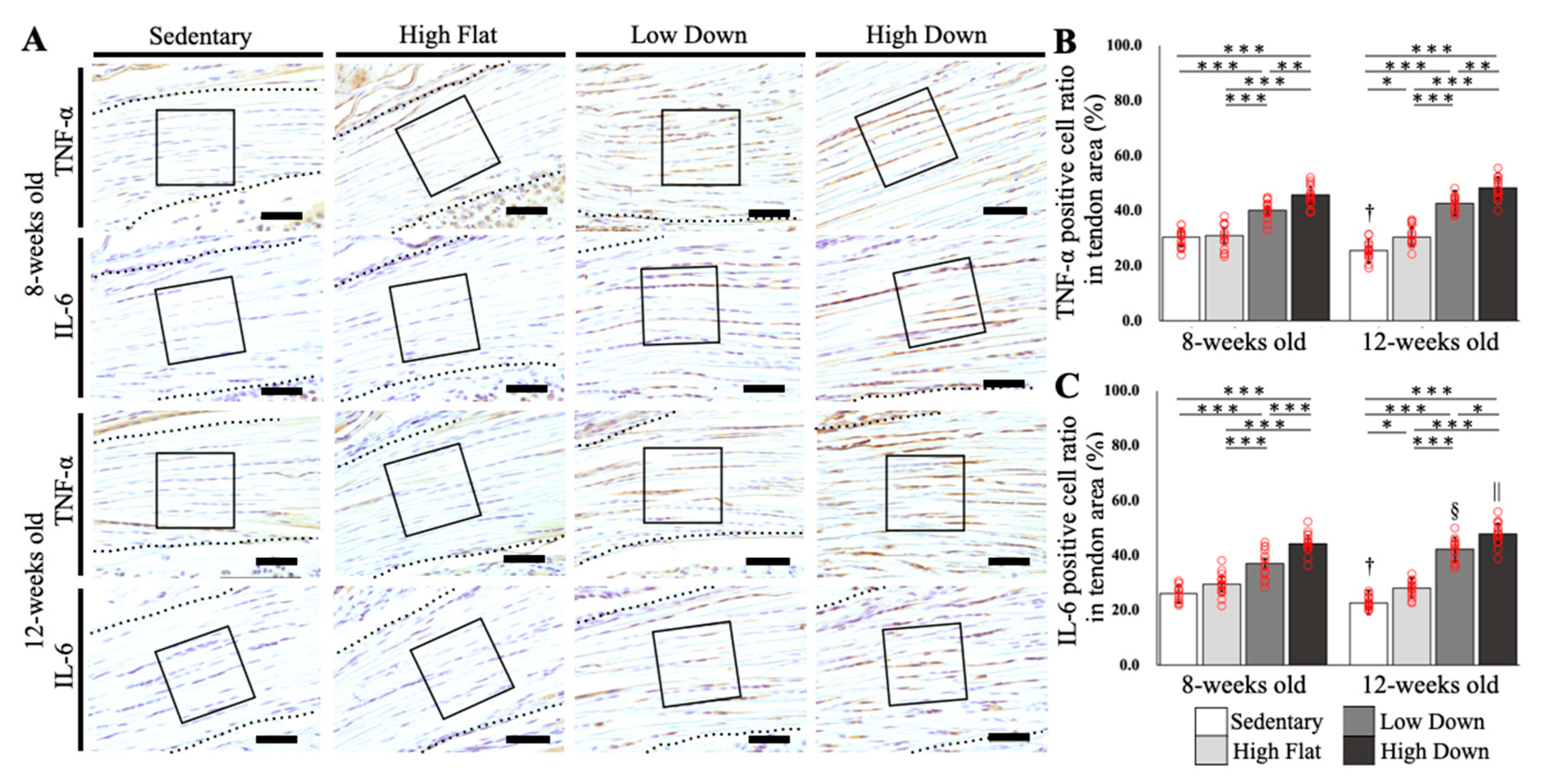 Biology 12 00456 g006 Biology 12 00456 g006