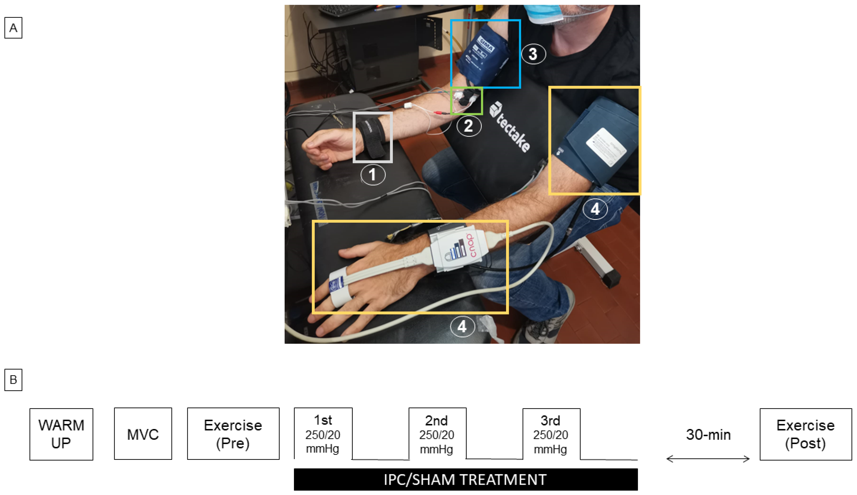 Biology 12 00460 g001 Biology 12 00460 g001