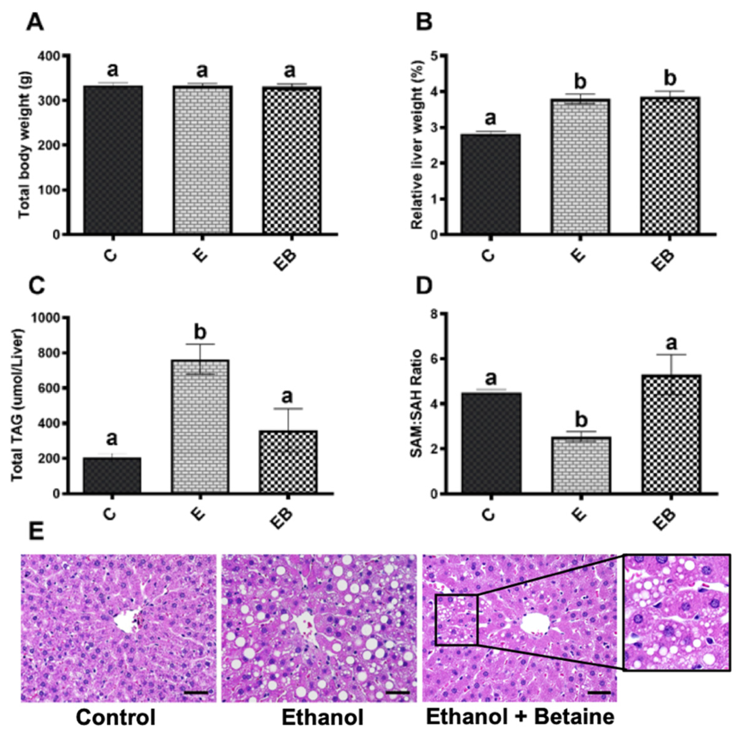 Biology 12 00462 g001 Biology 12 00462 g001