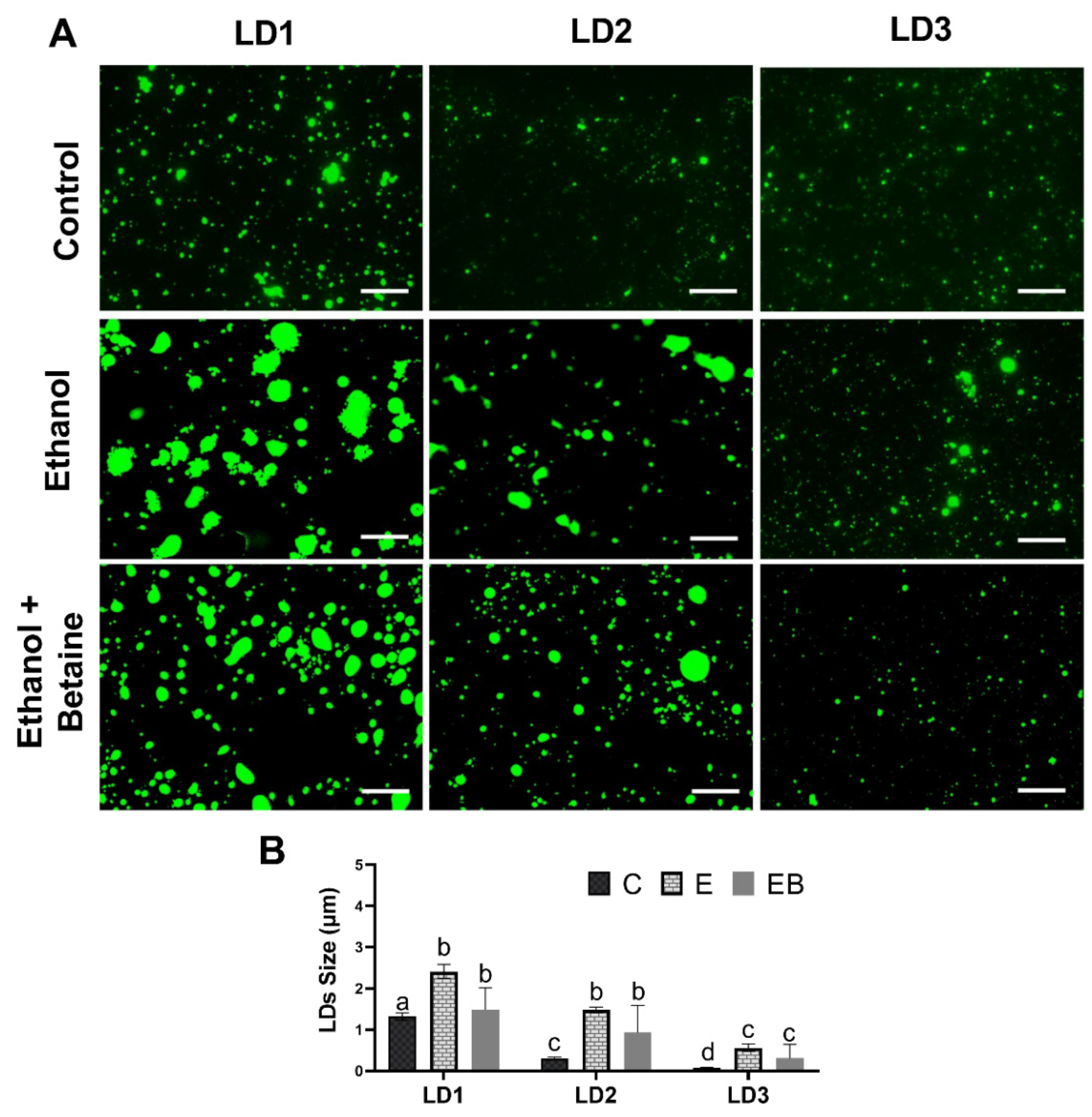 Biology 12 00462 g002 Biology 12 00462 g002