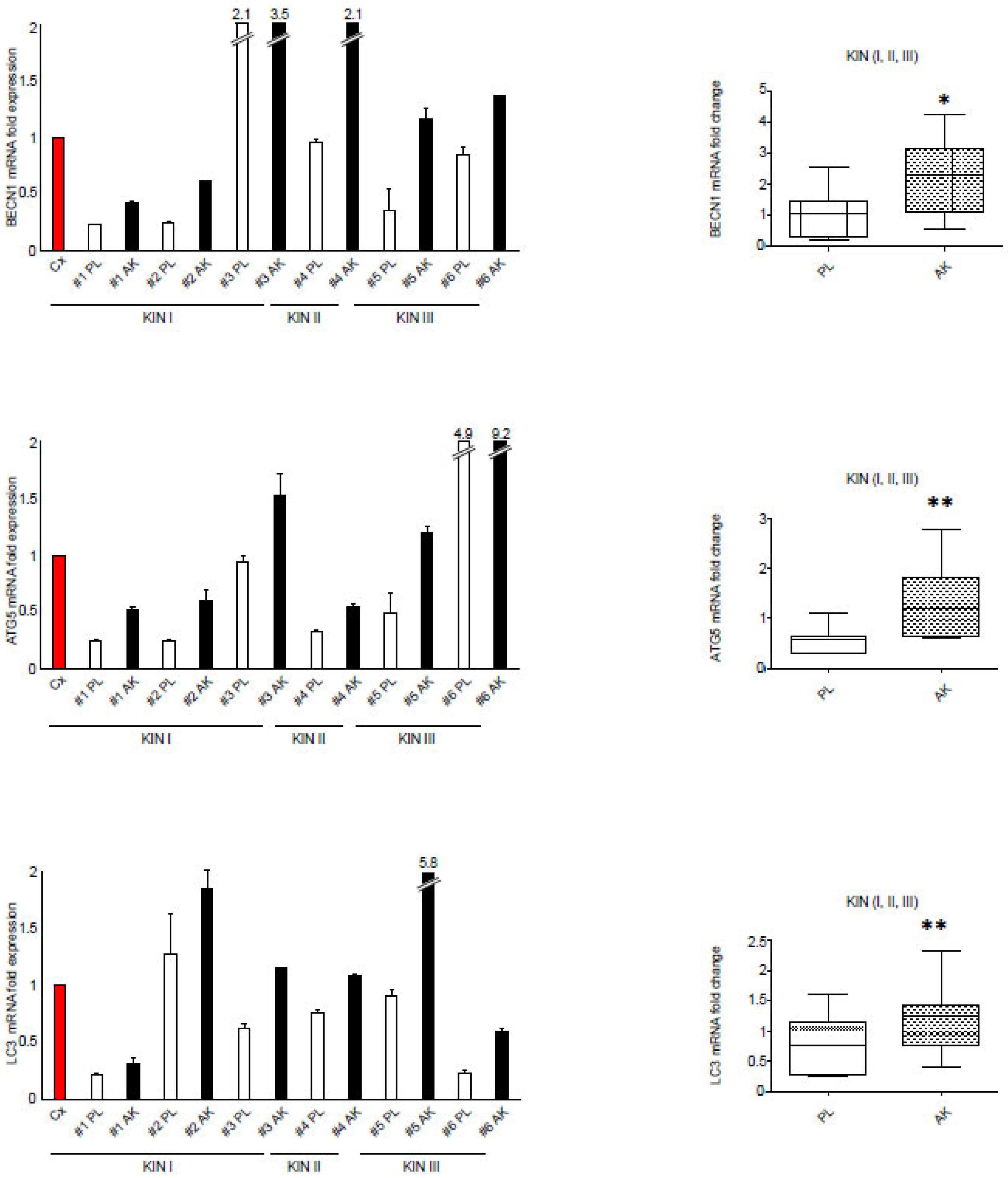 Biology 12 00463 g003 Biology 12 00463 g003