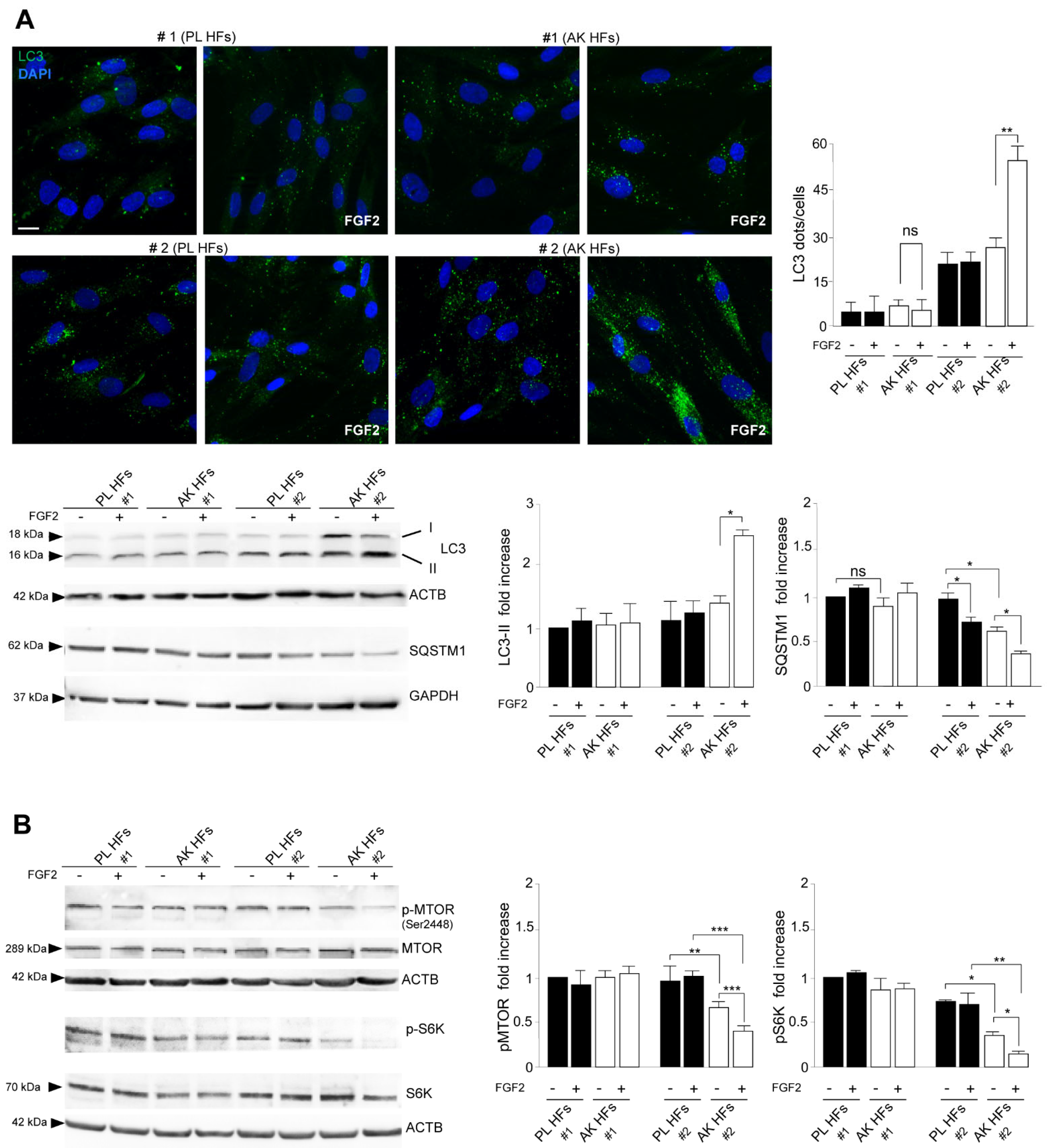 Biology 12 00463 g005 Biology 12 00463 g005
