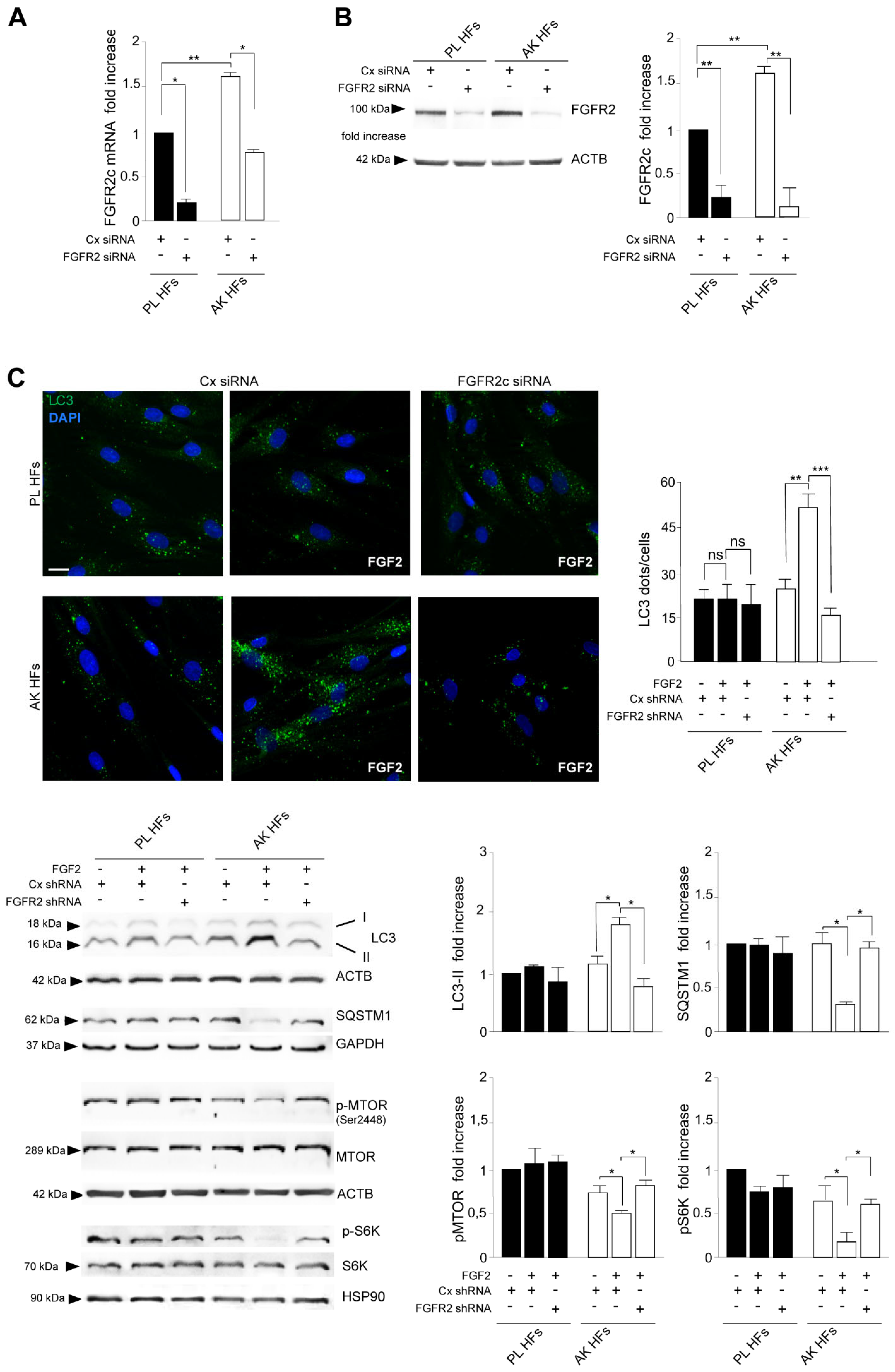 Biology 12 00463 g006 Biology 12 00463 g006