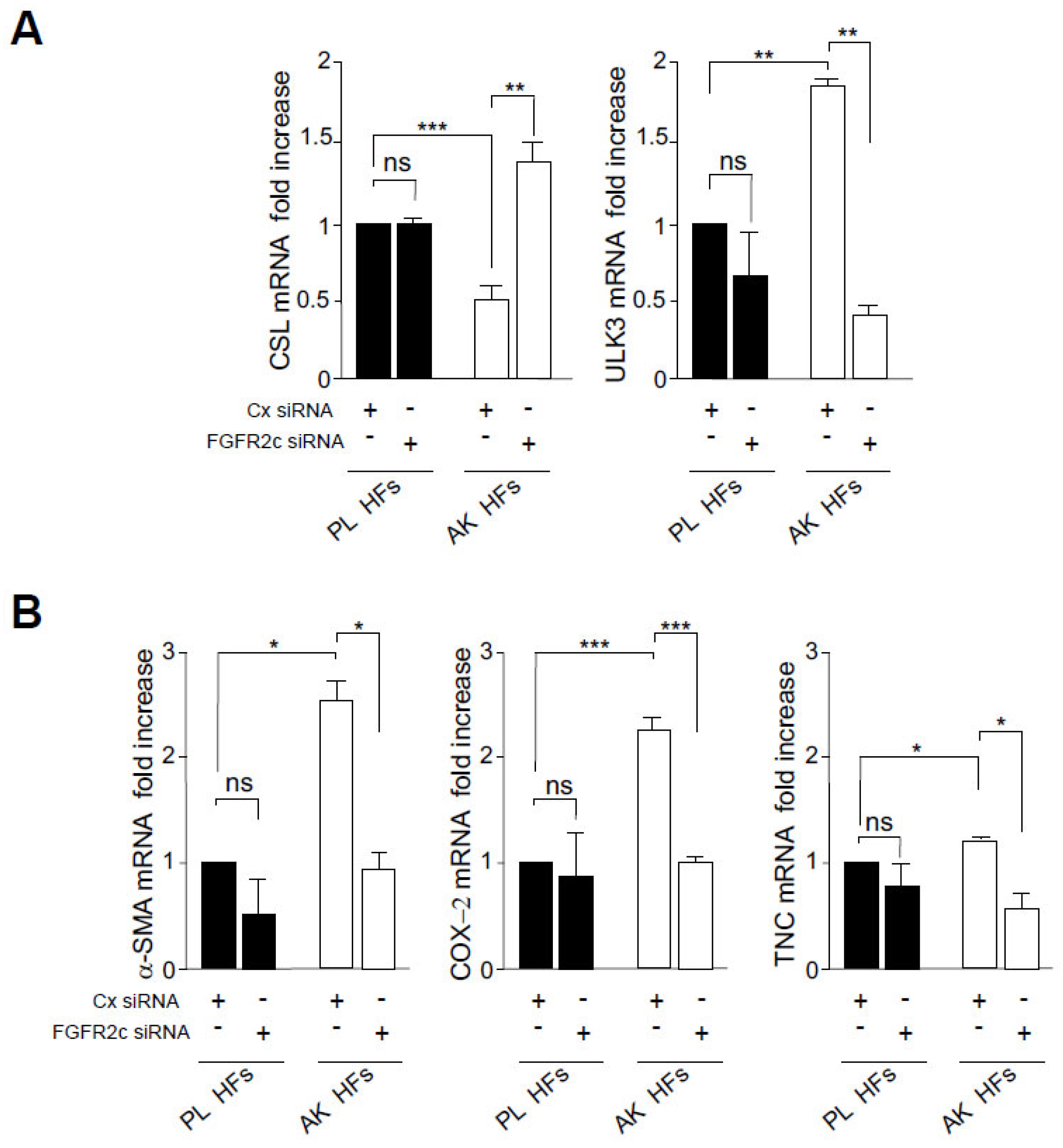Biology 12 00463 g007 Biology 12 00463 g007