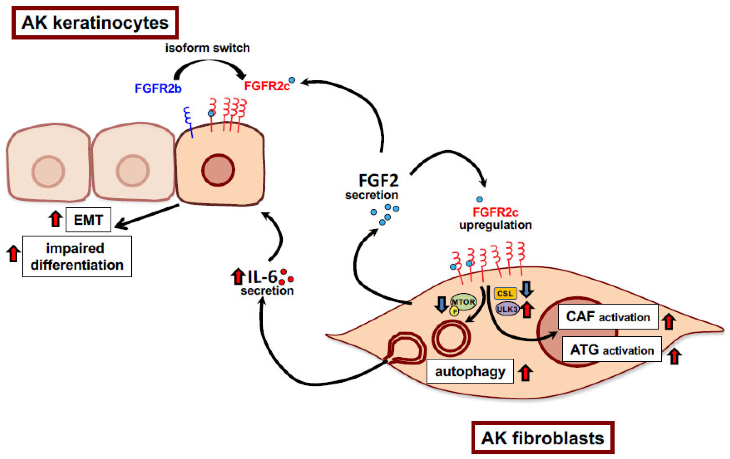 Biology 12 00463 g009 Biology 12 00463 g009