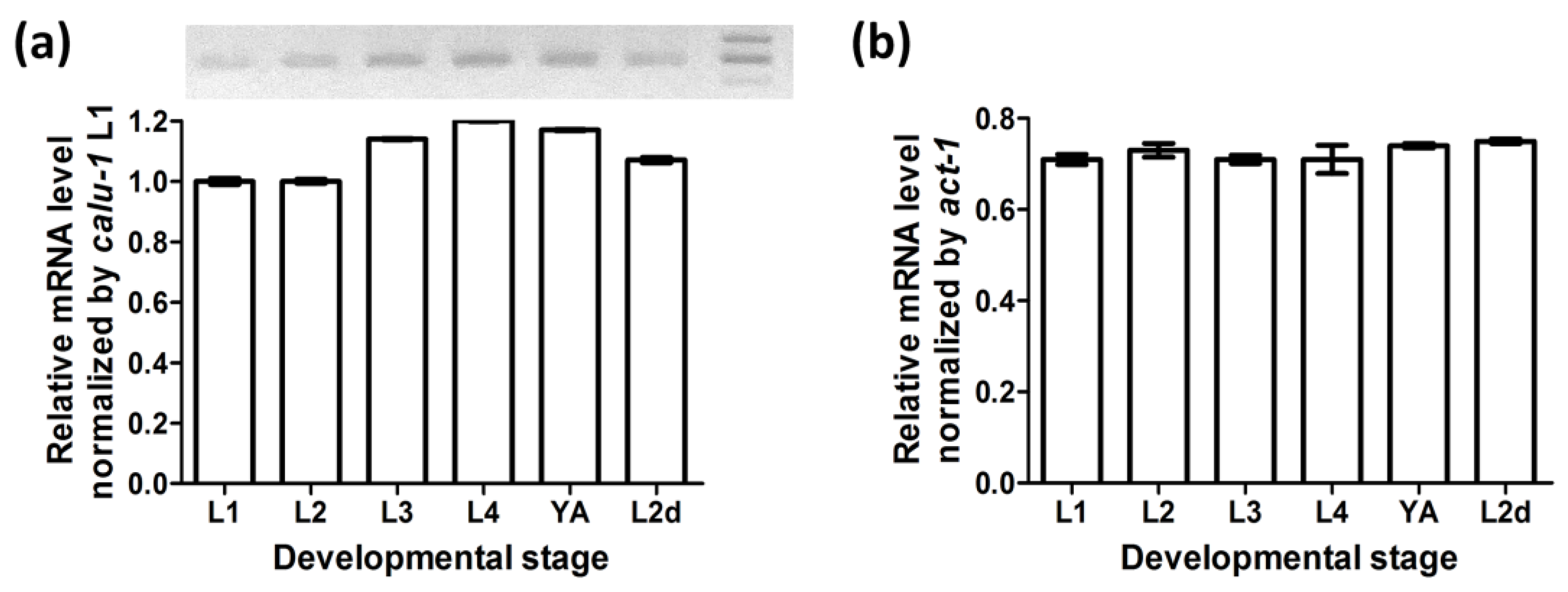 Biology 12 00464 g001 Biology 12 00464 g001