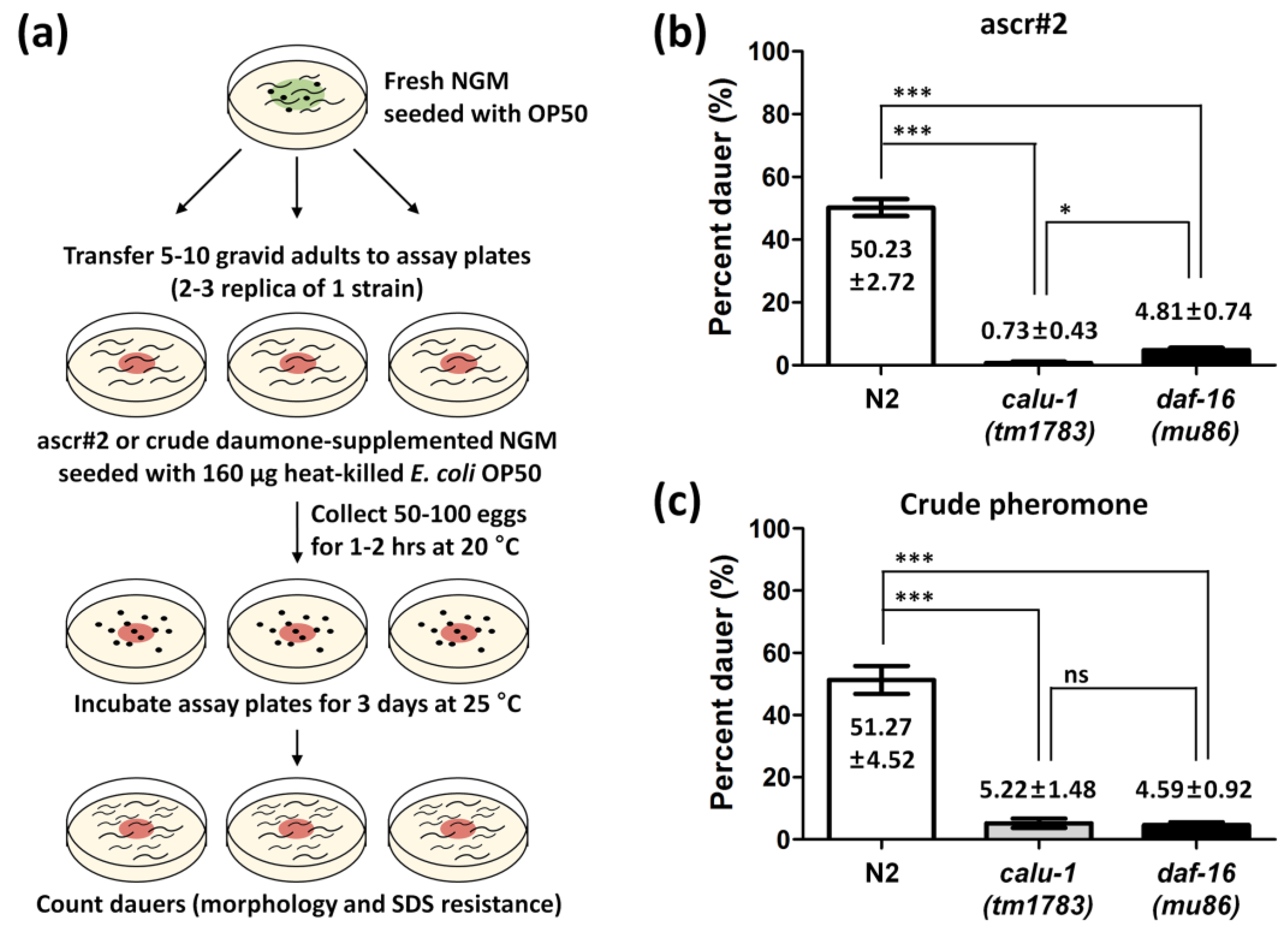 Biology 12 00464 g003 Biology 12 00464 g003