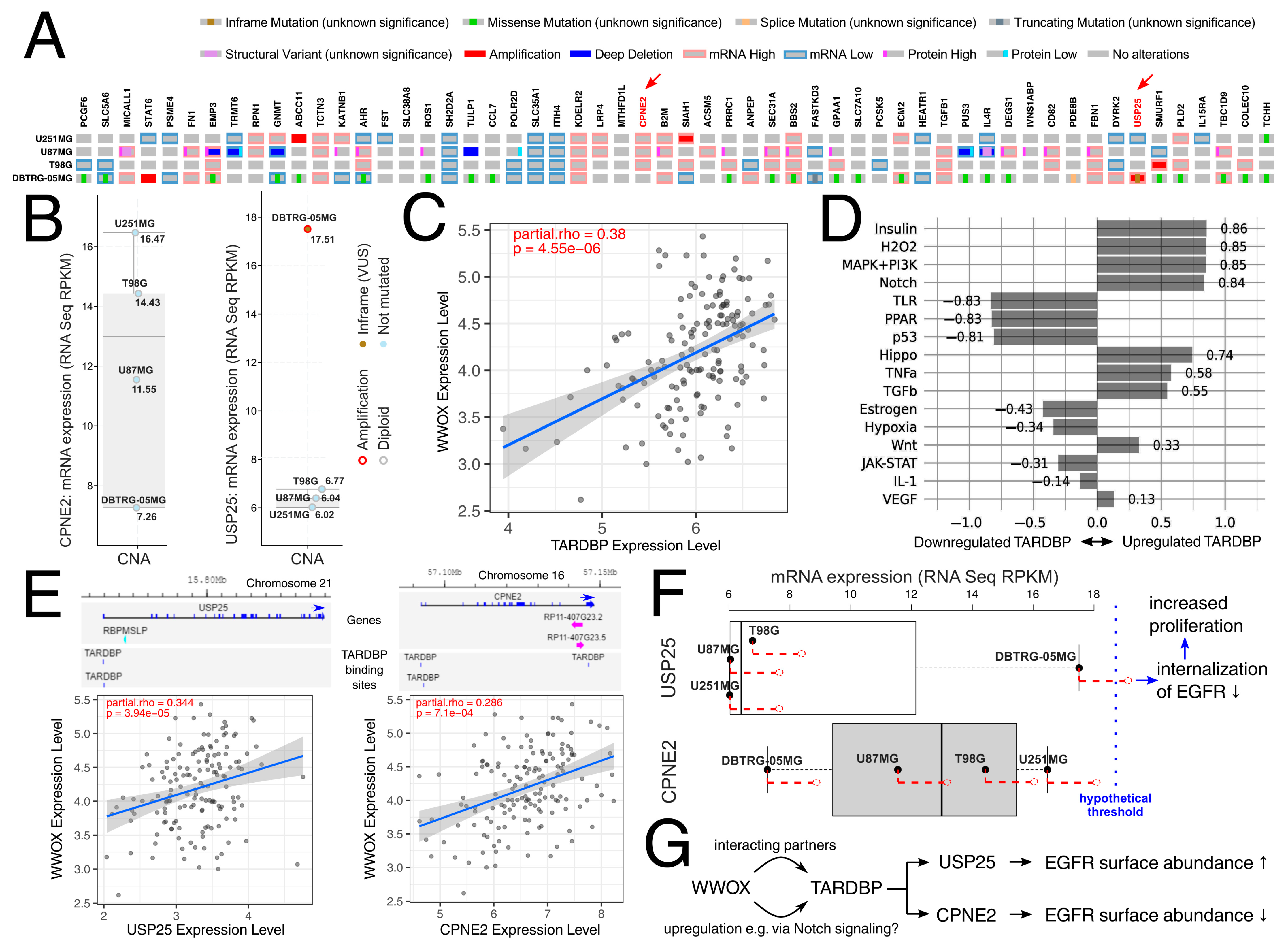 Biology 12 00465 g006