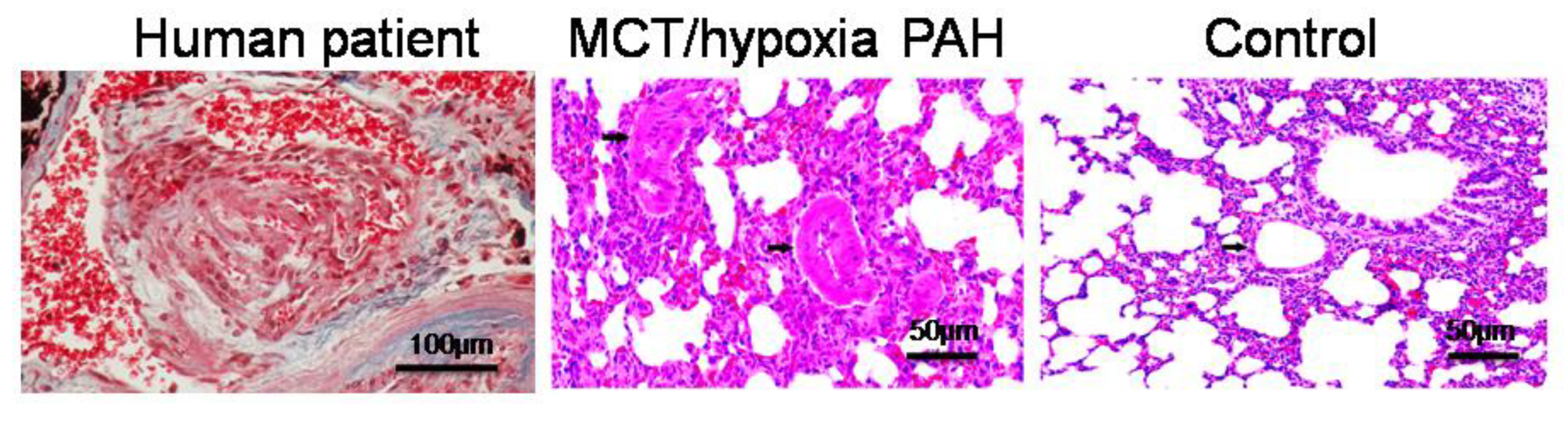 Biology 12 00468 g001