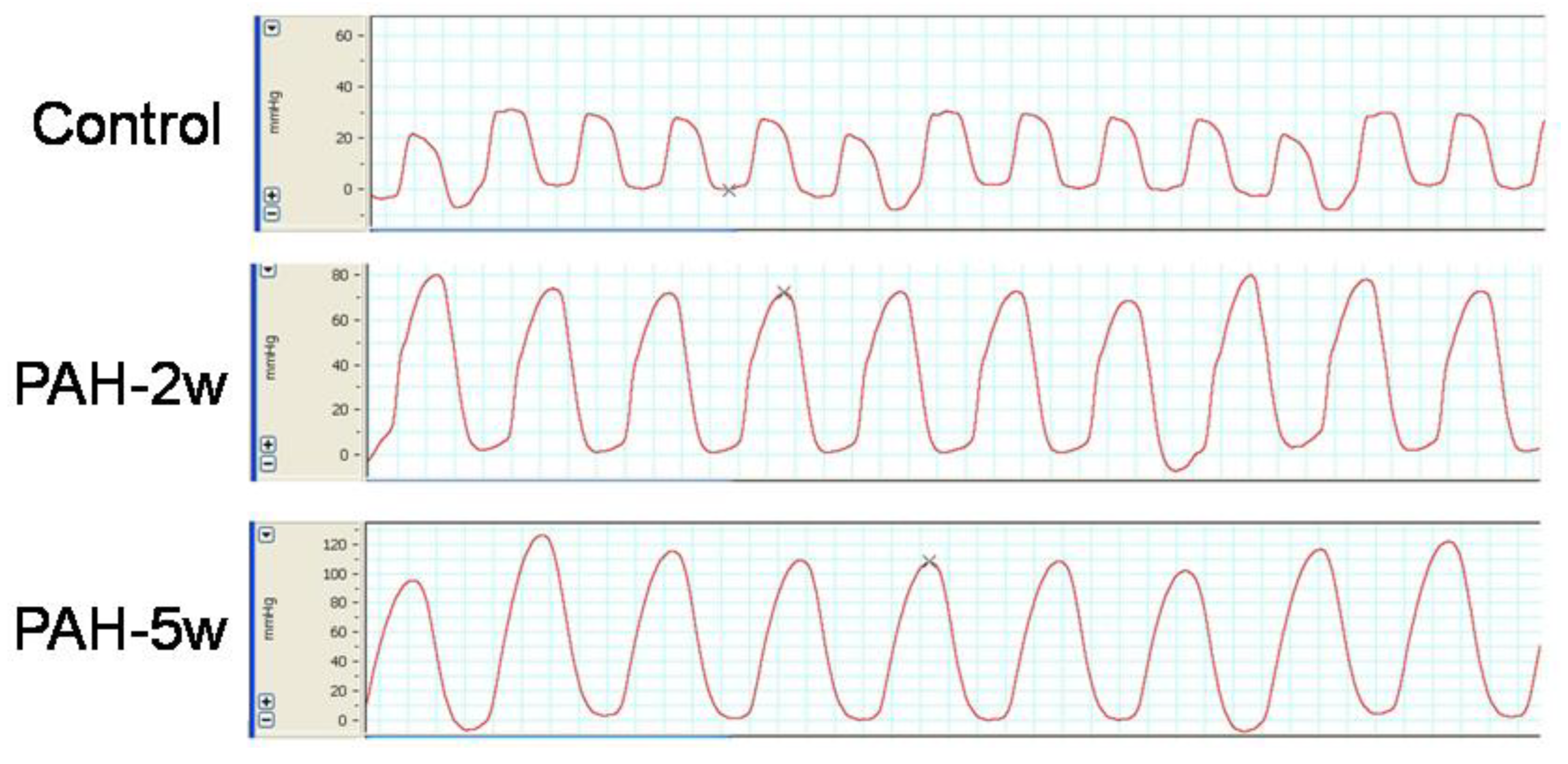 Biology 12 00468 g002