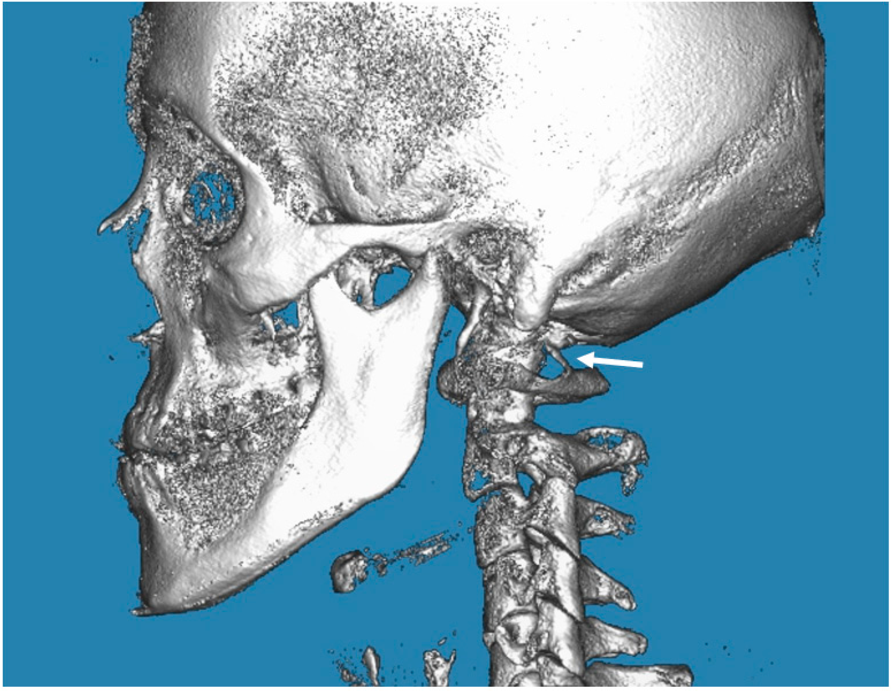 Biology 12 00471 g002 Biology 12 00471 g002