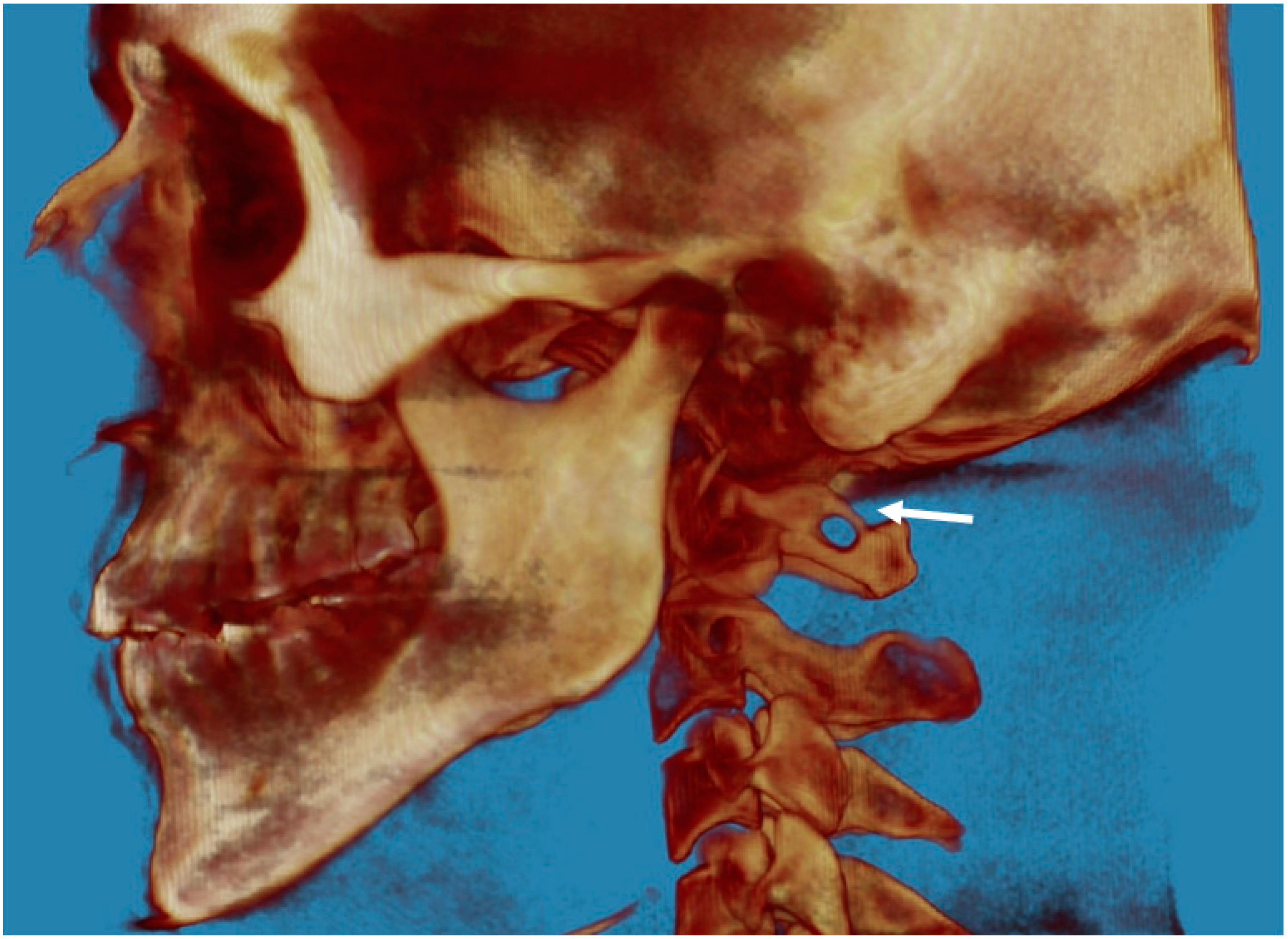 Biology 12 00471 g003 Biology 12 00471 g003