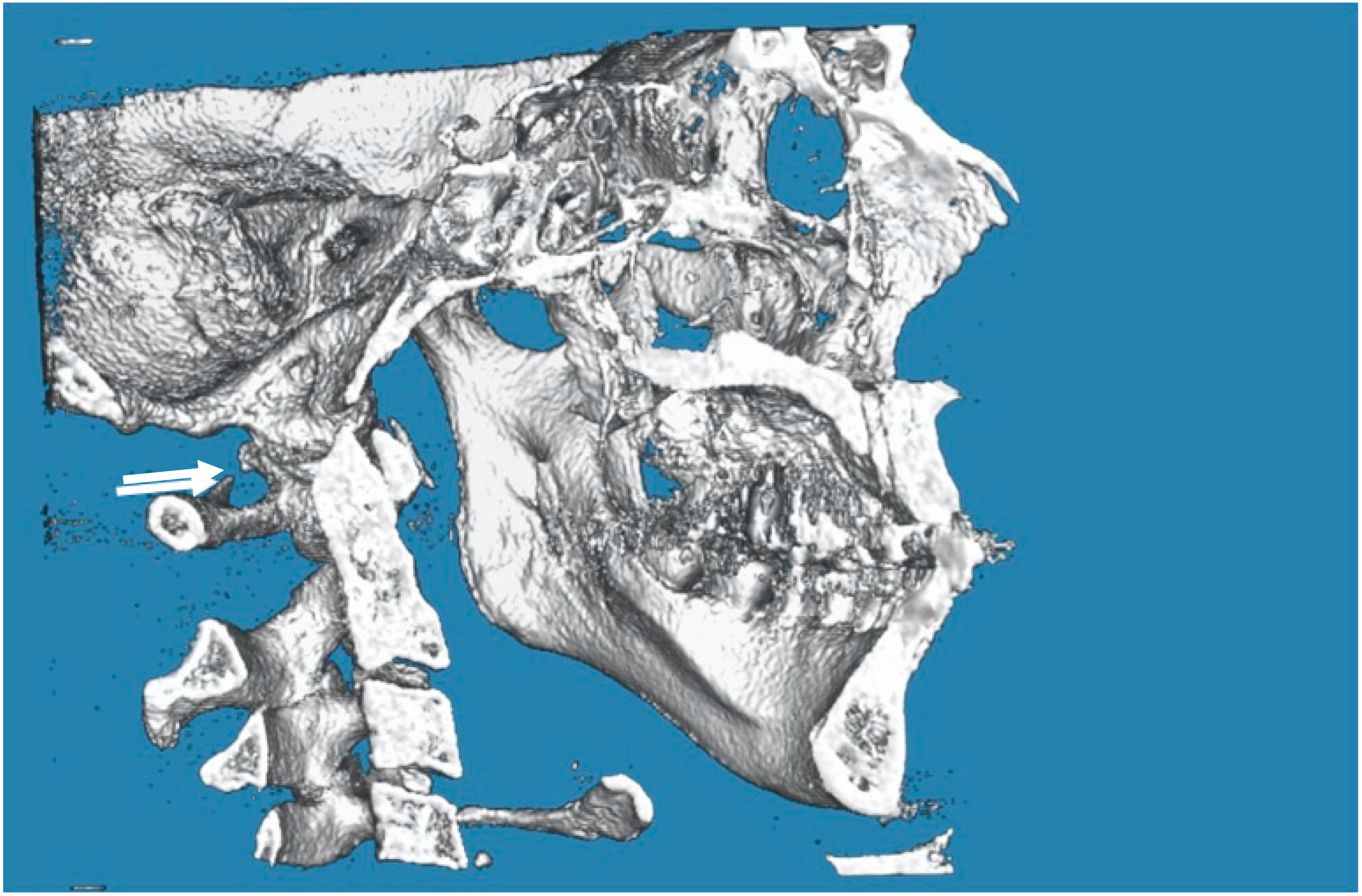 Biology 12 00471 g004 Biology 12 00471 g004