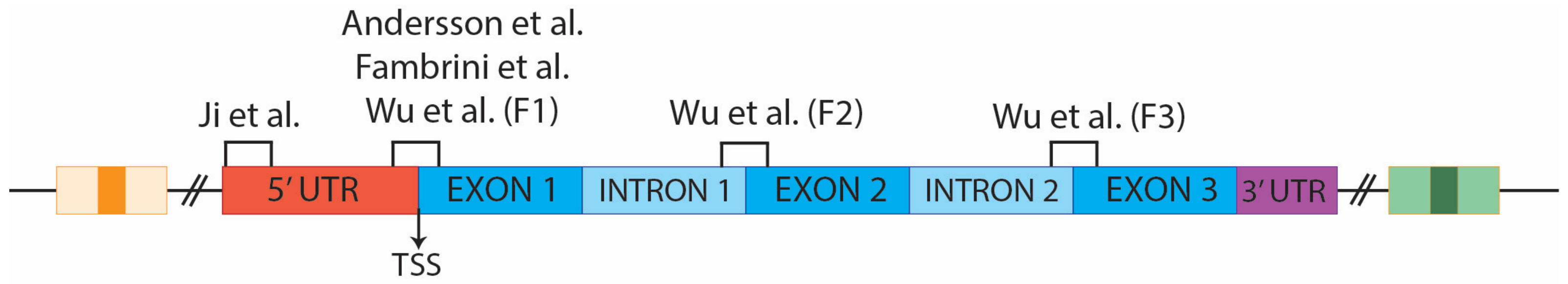 Biology 12 00474 g002 Biology 12 00474 g002