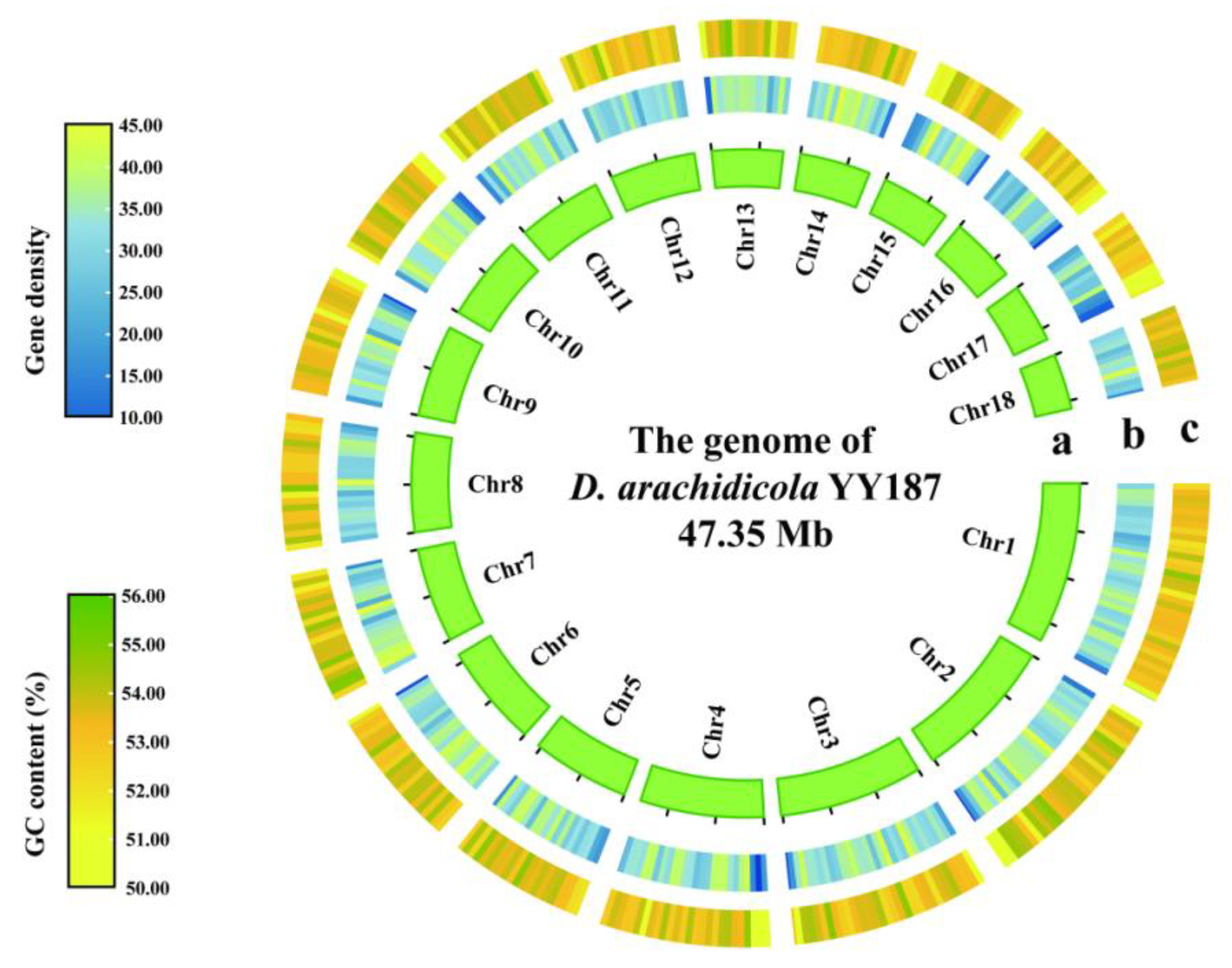 Biology 12 00476 g002 Biology 12 00476 g002