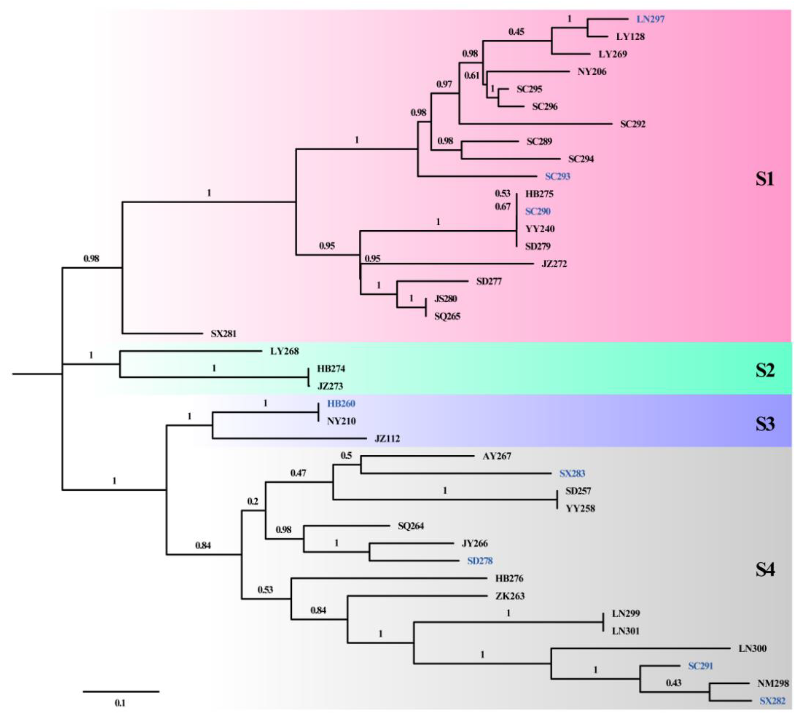 Biology 12 00476 g004 Biology 12 00476 g004