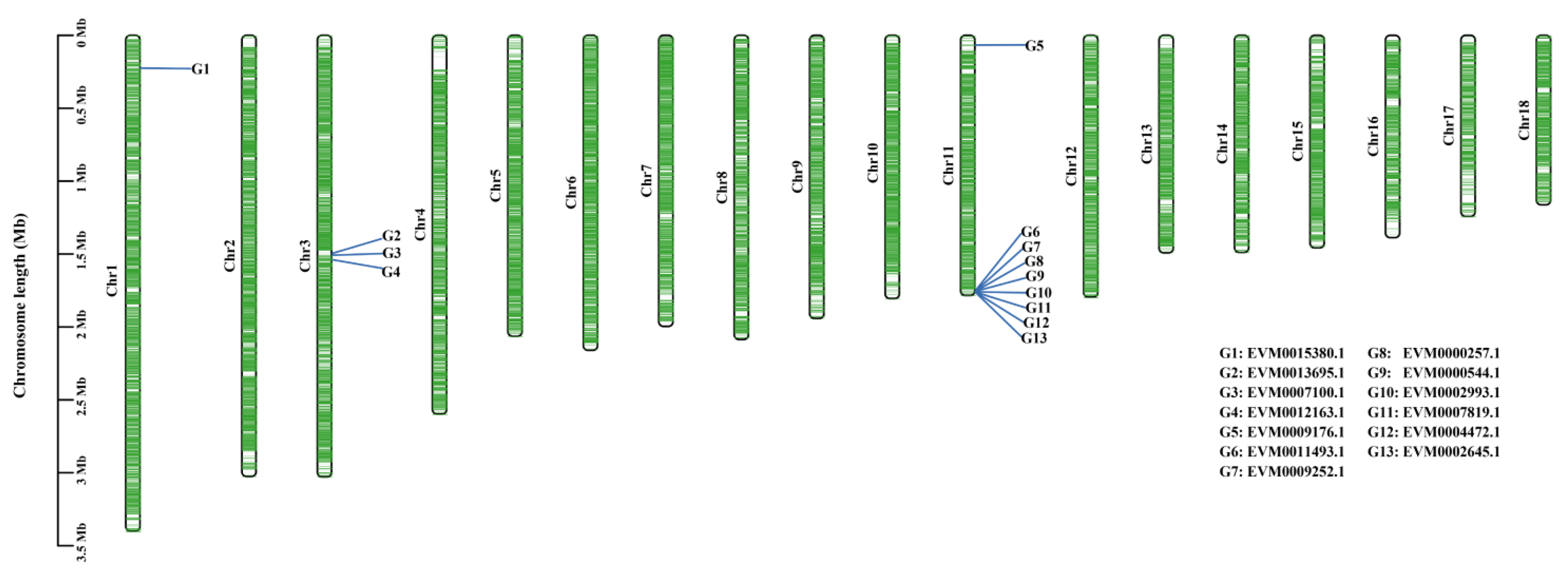 Biology 12 00476 g005 Biology 12 00476 g005