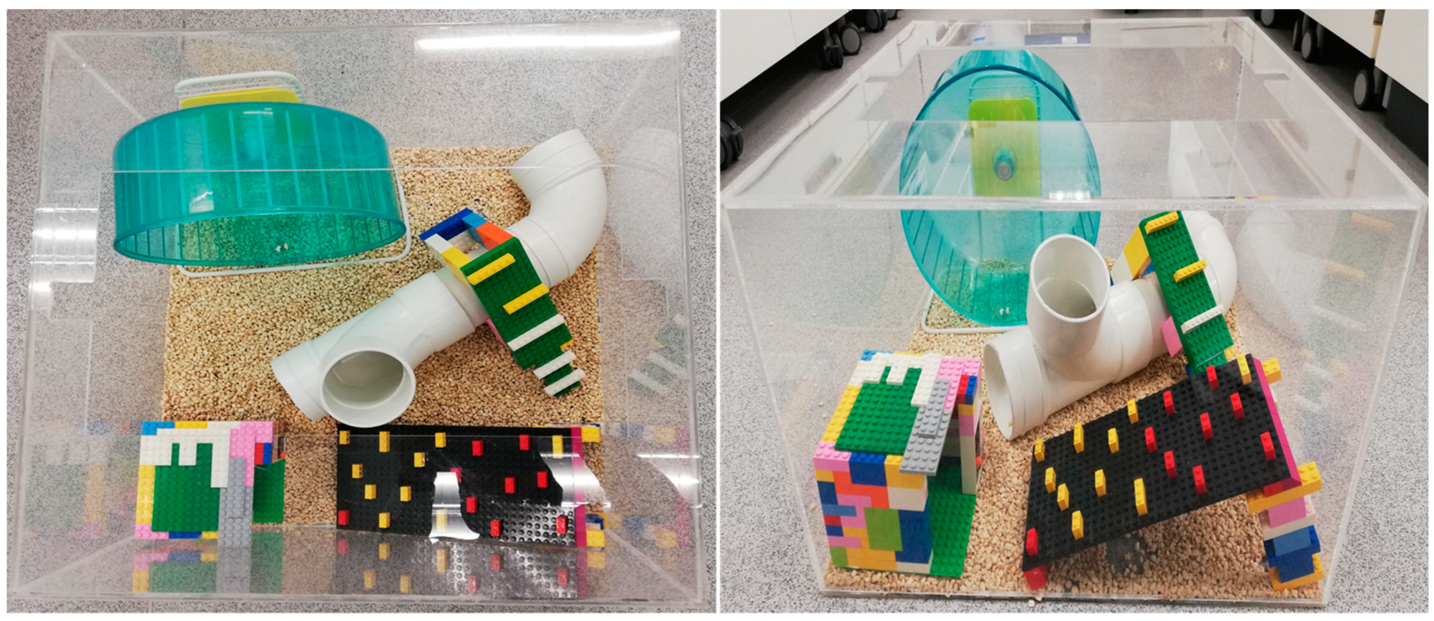 Biology 12 00480 g002 Biology 12 00480 g002