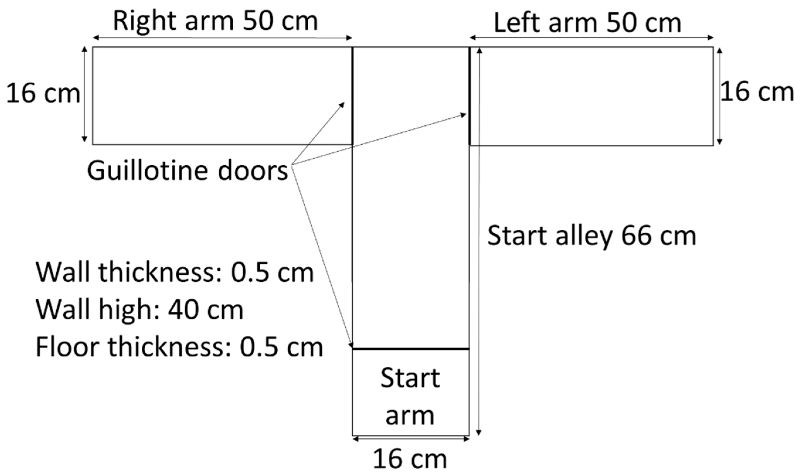 Biology 12 00480 g003 Biology 12 00480 g003