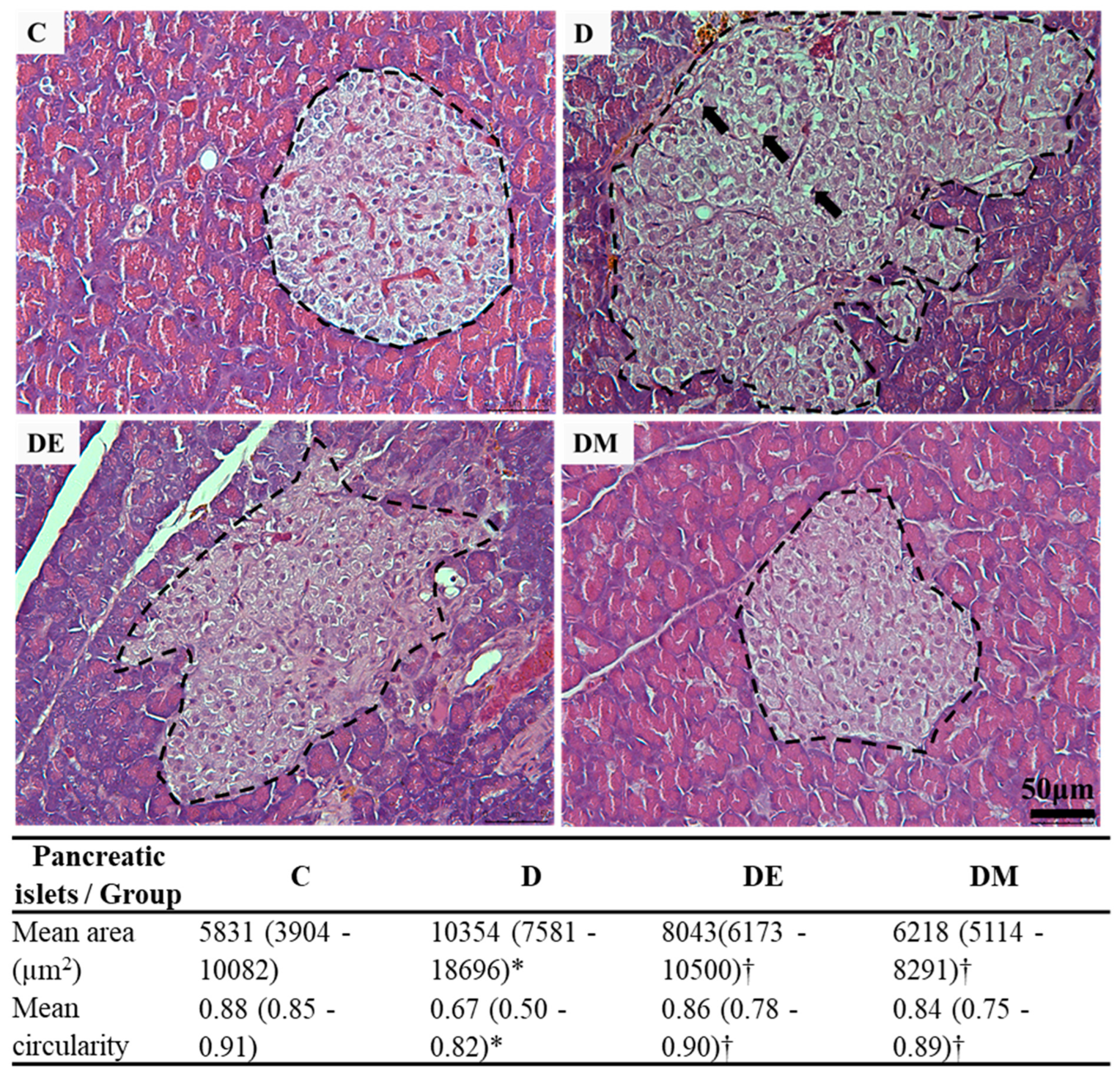 Biology 12 00480 g004 Biology 12 00480 g004