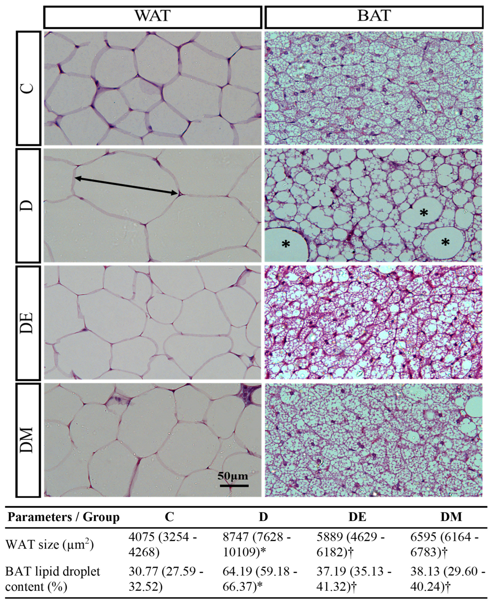 Biology 12 00480 g005 Biology 12 00480 g005