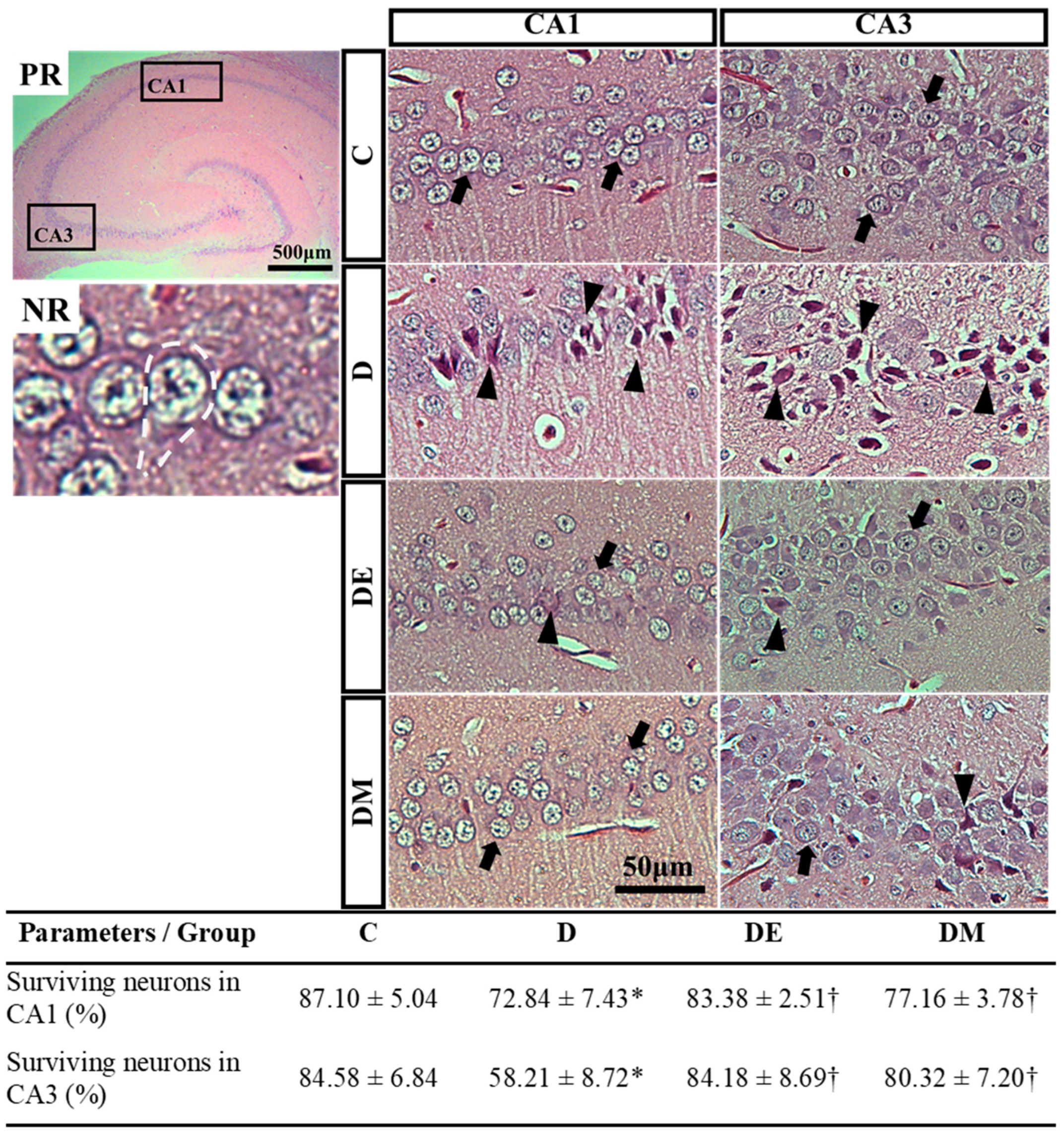 Biology 12 00480 g006 Biology 12 00480 g006