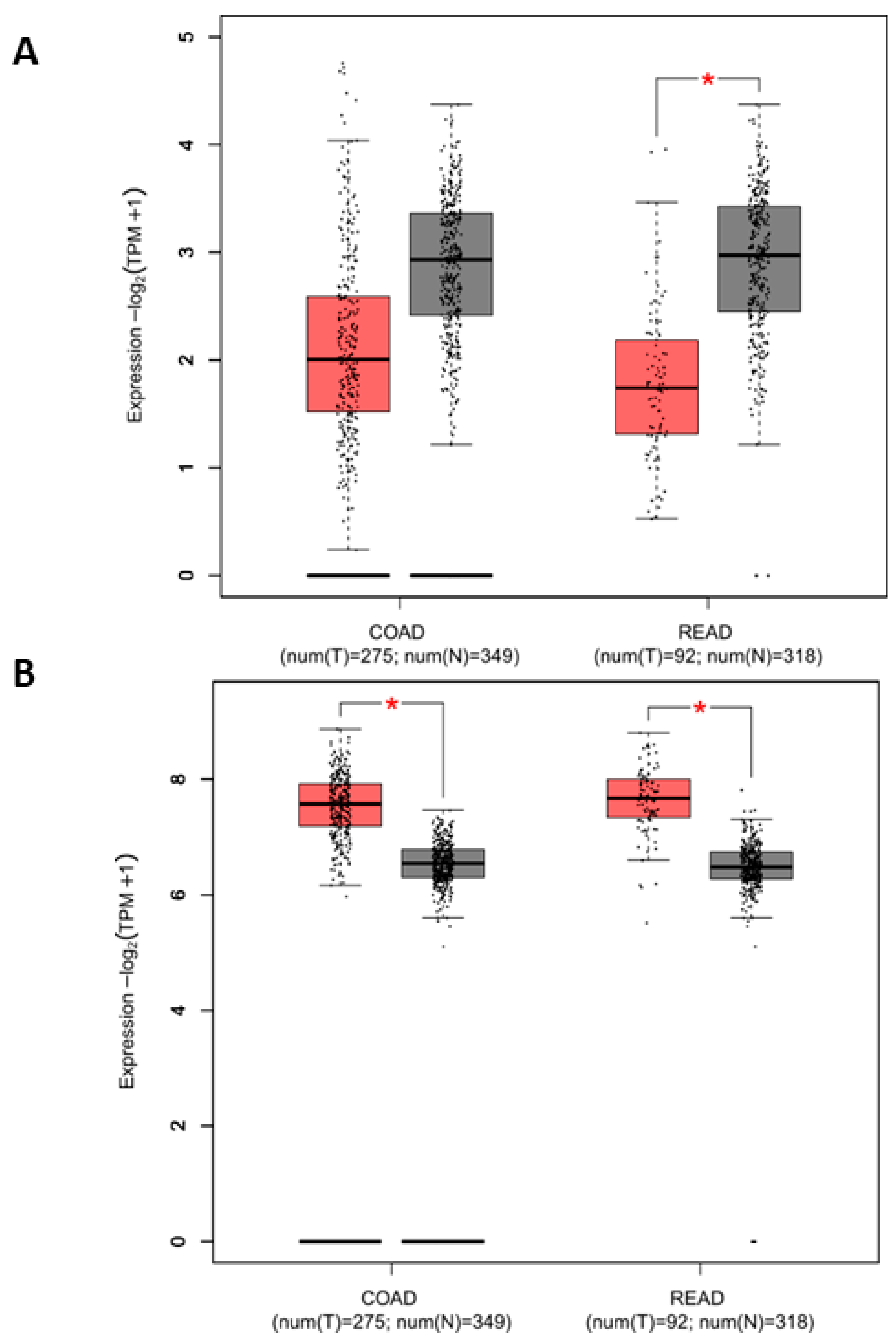 Biology 12 00481 g002 Biology 12 00481 g002