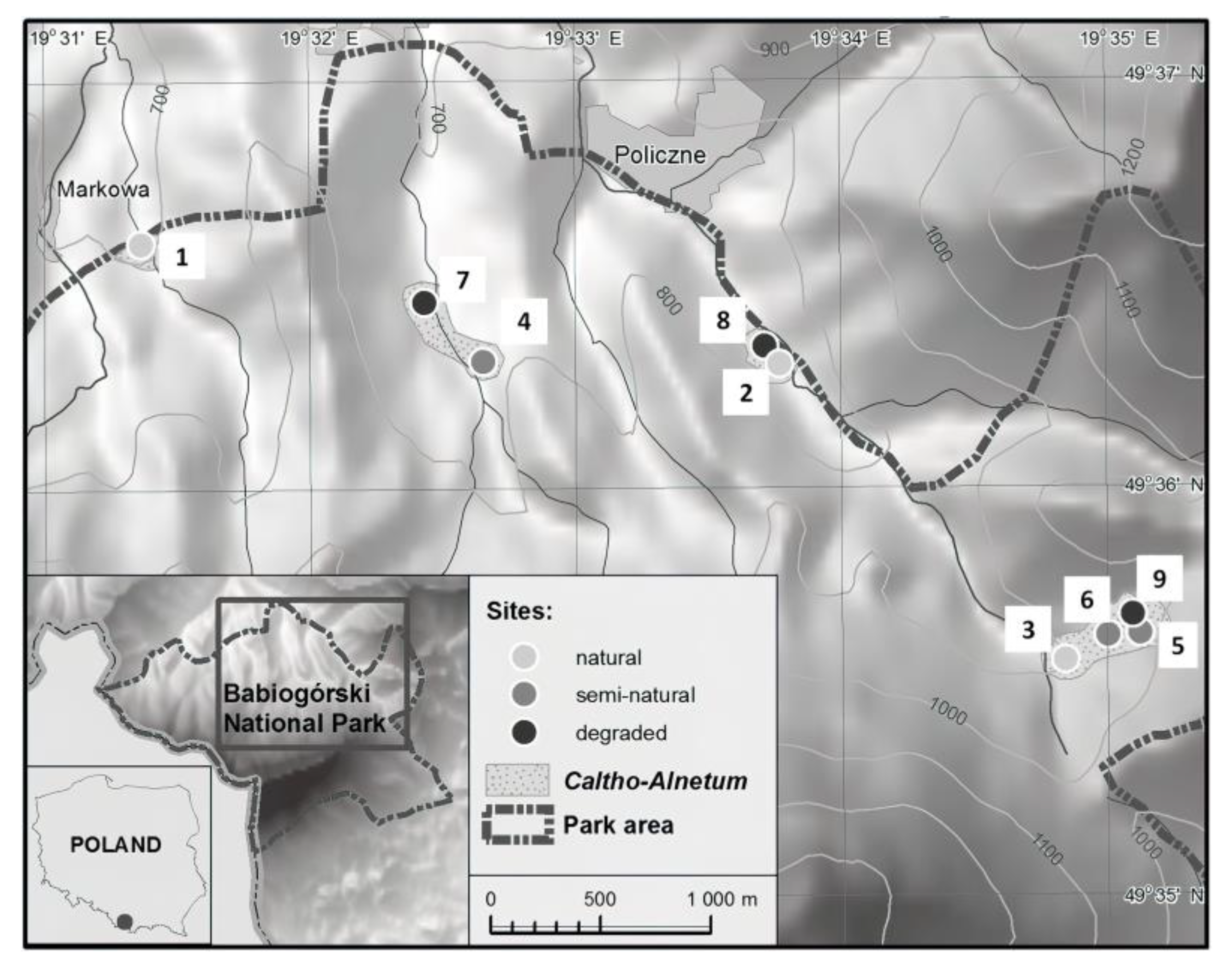 Biology 12 00482 g001 Biology 12 00482 g001
