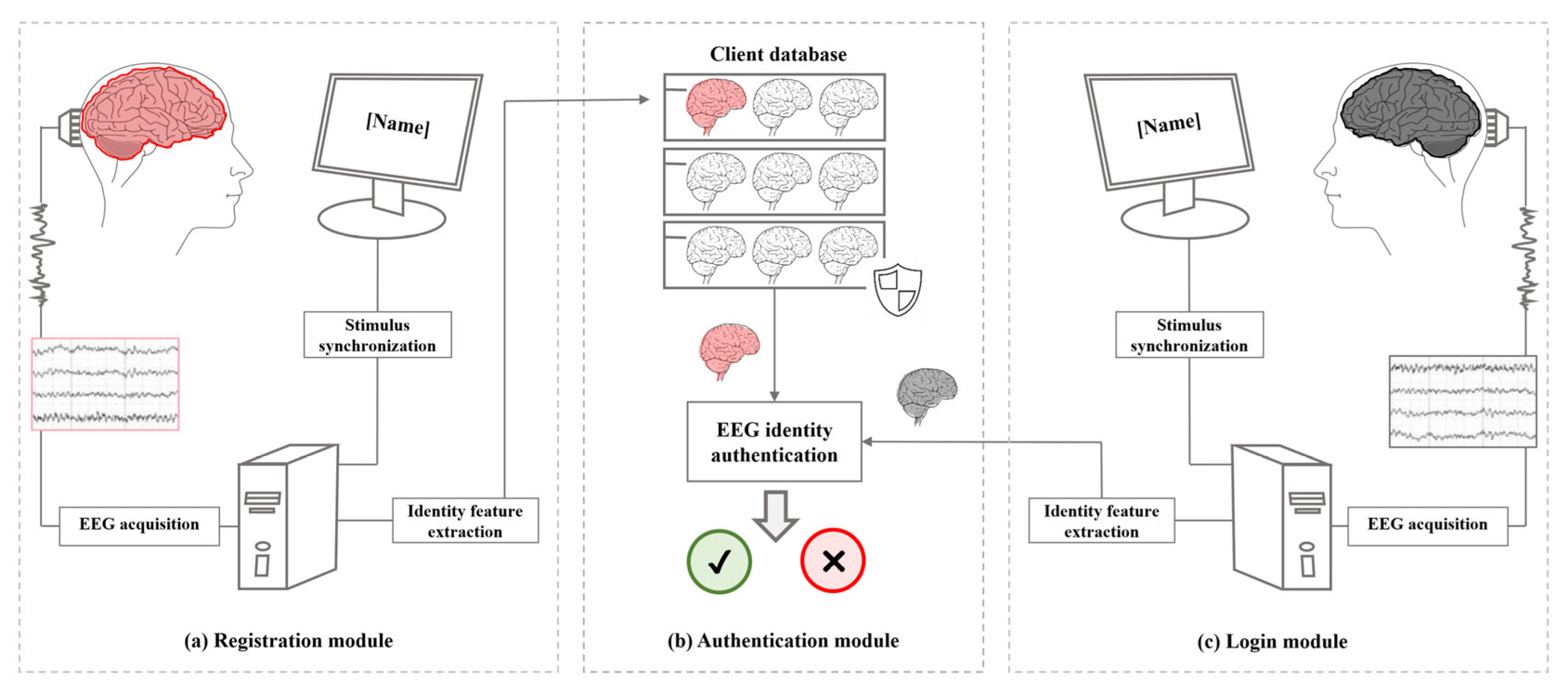 Biology 12 00486 g003