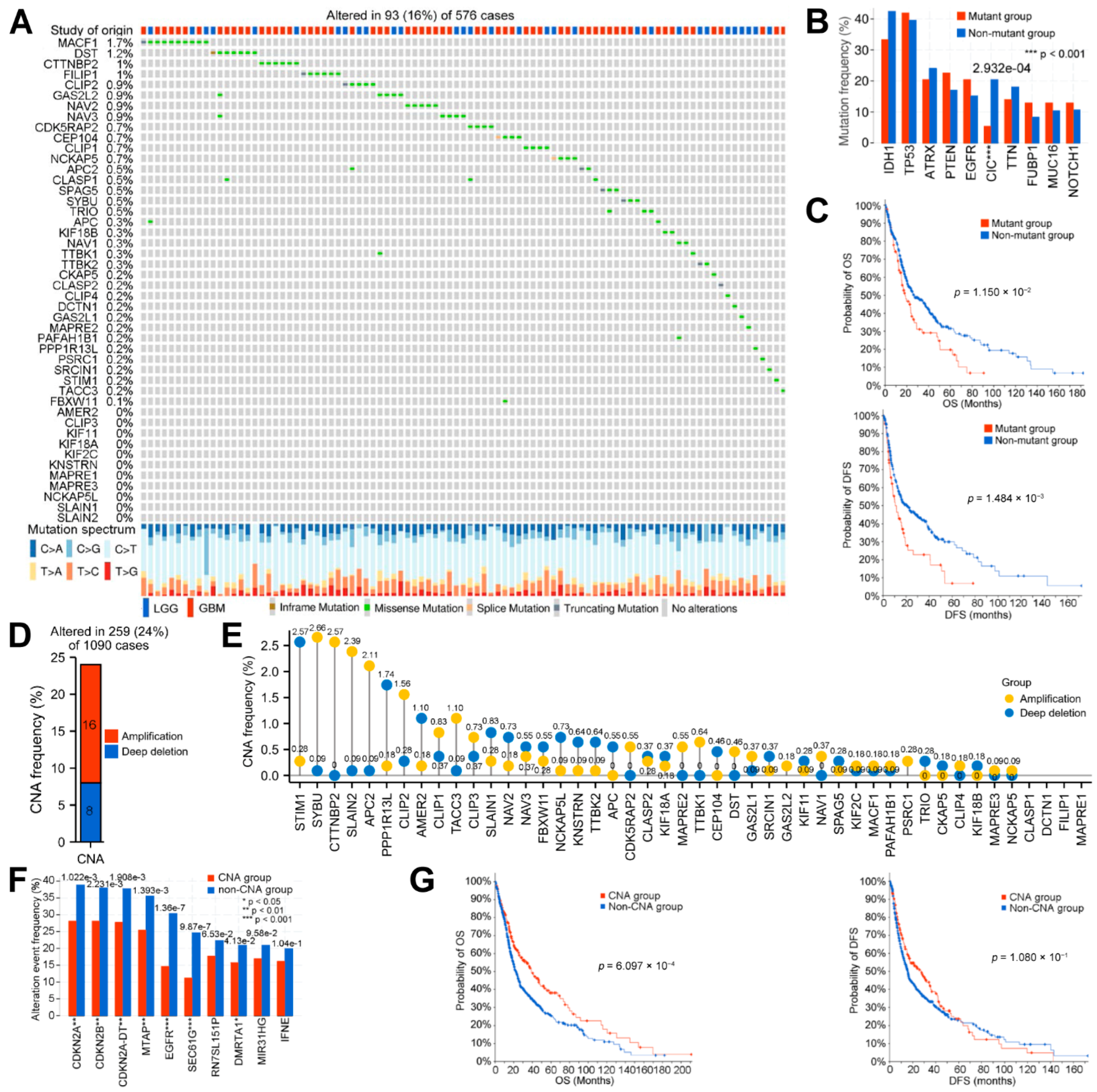 Biology 12 00488 g002 Biology 12 00488 g002