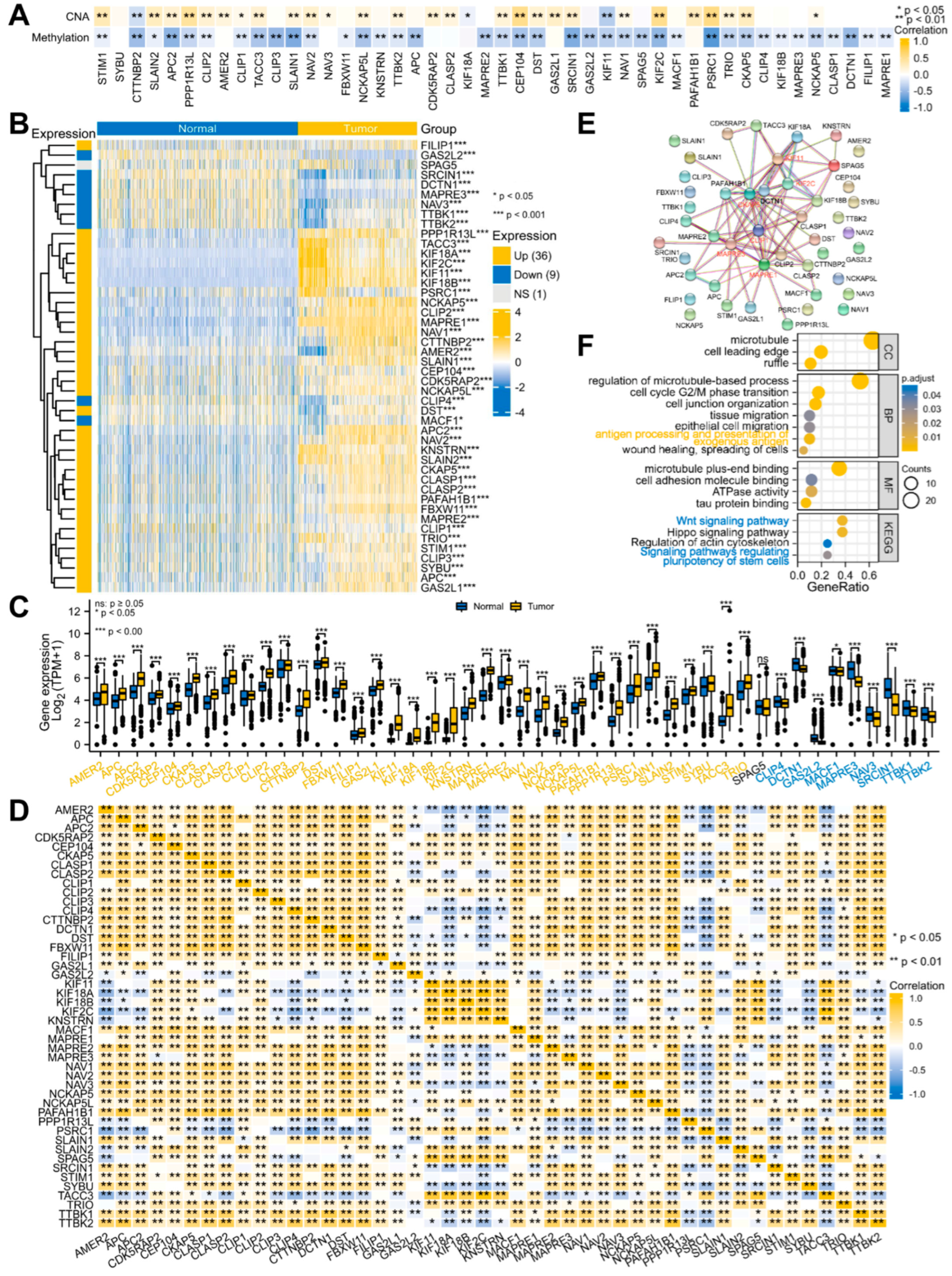 Biology 12 00488 g003 Biology 12 00488 g003