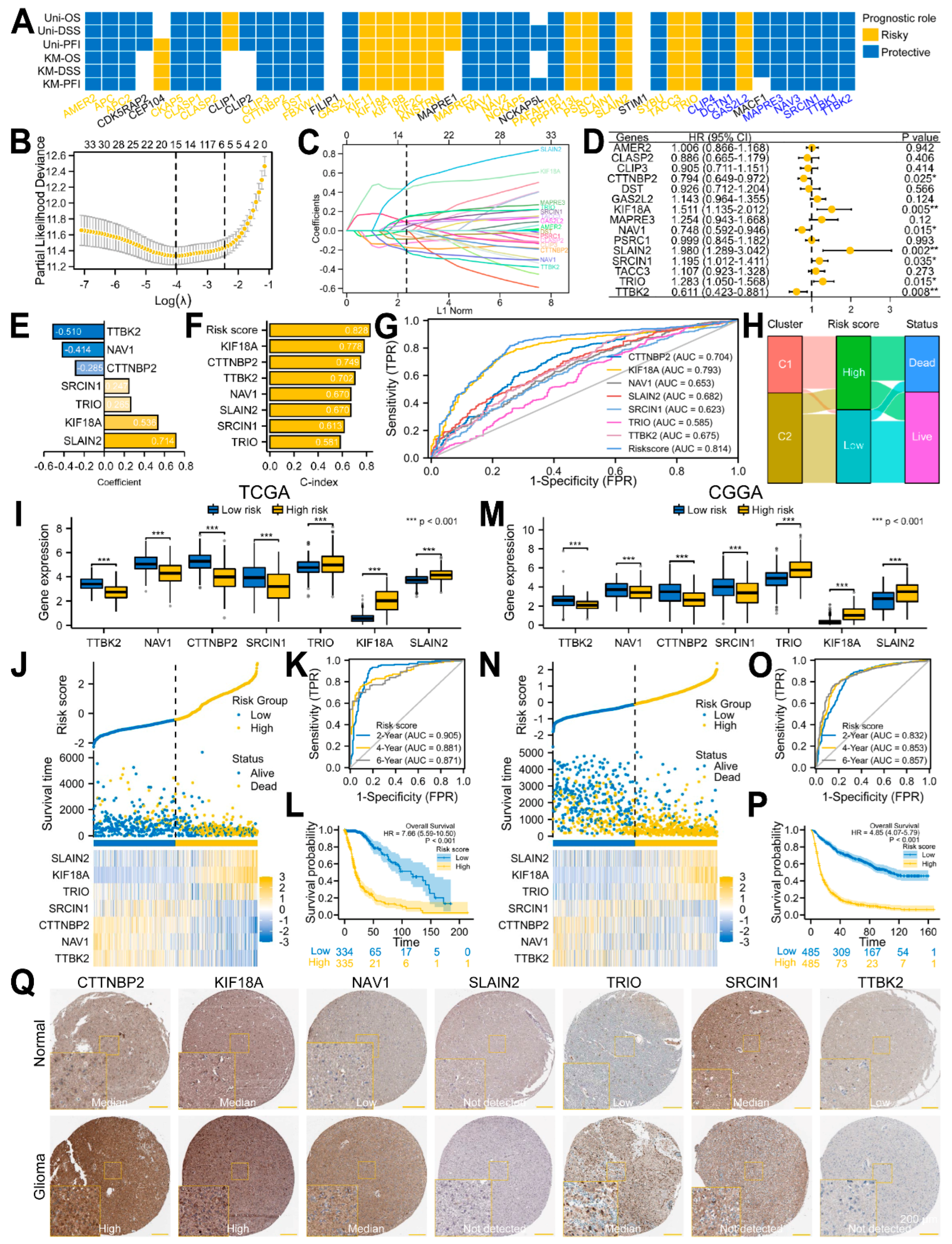 Biology 12 00488 g006 Biology 12 00488 g006
