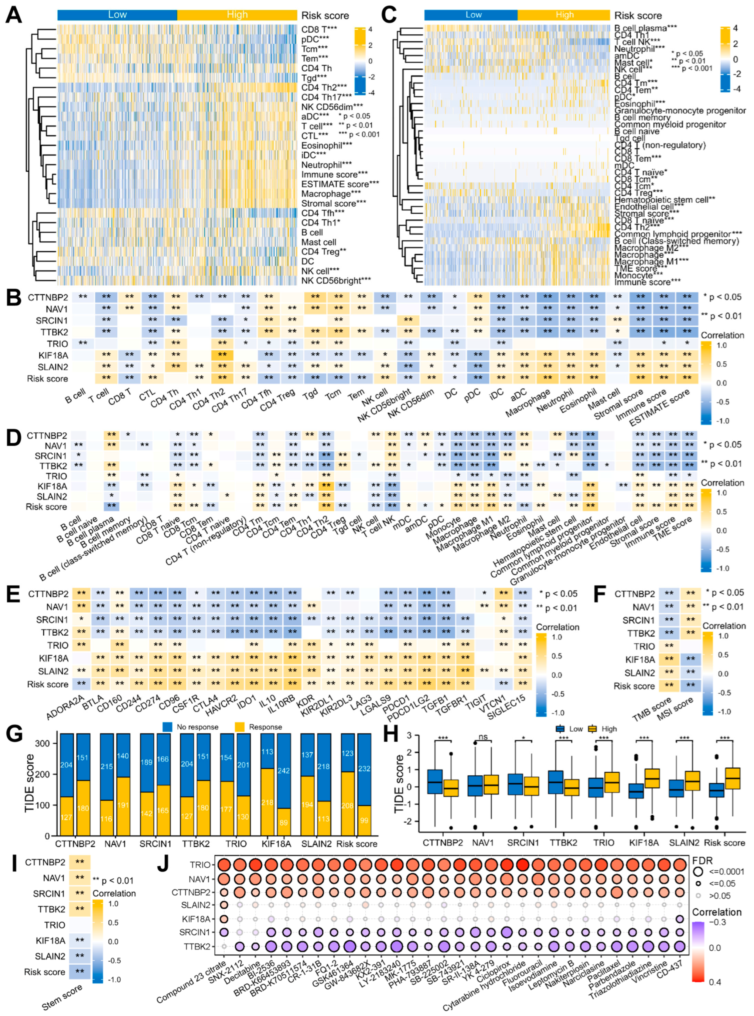 Biology 12 00488 g008 Biology 12 00488 g008