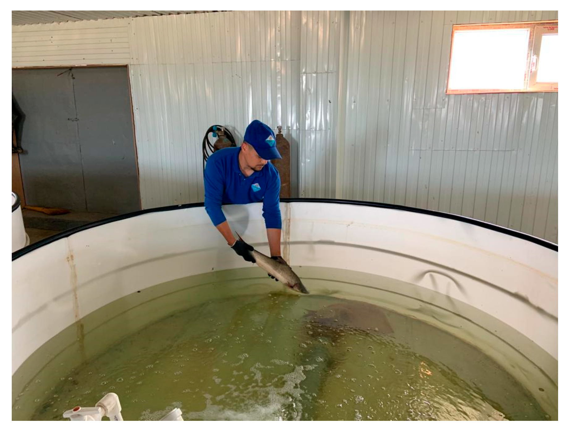 Biology 12 00489 g004 Biology 12 00489 g004