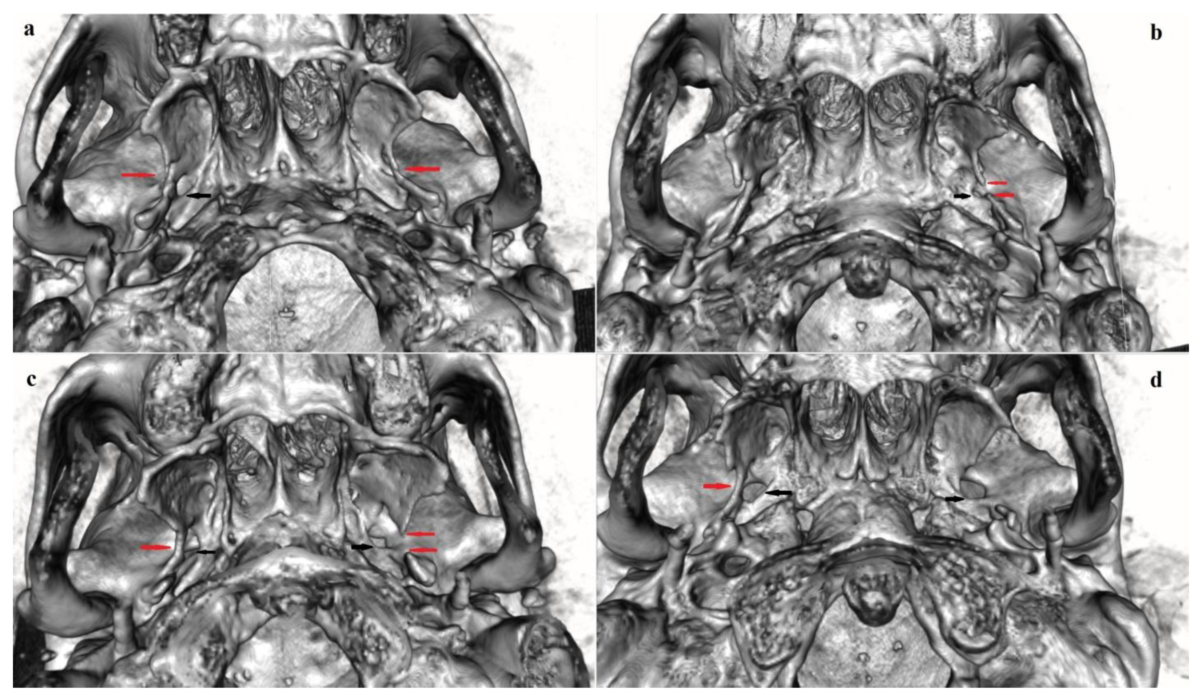 Biology 12 00492 g002 Biology 12 00492 g002